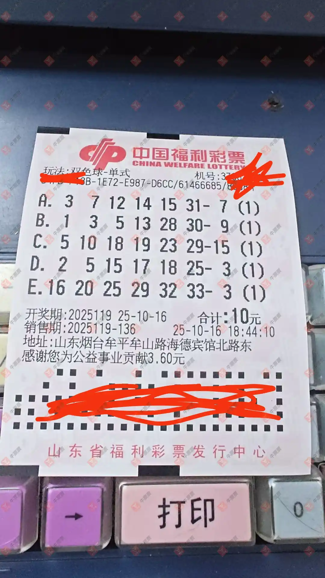 牛票票