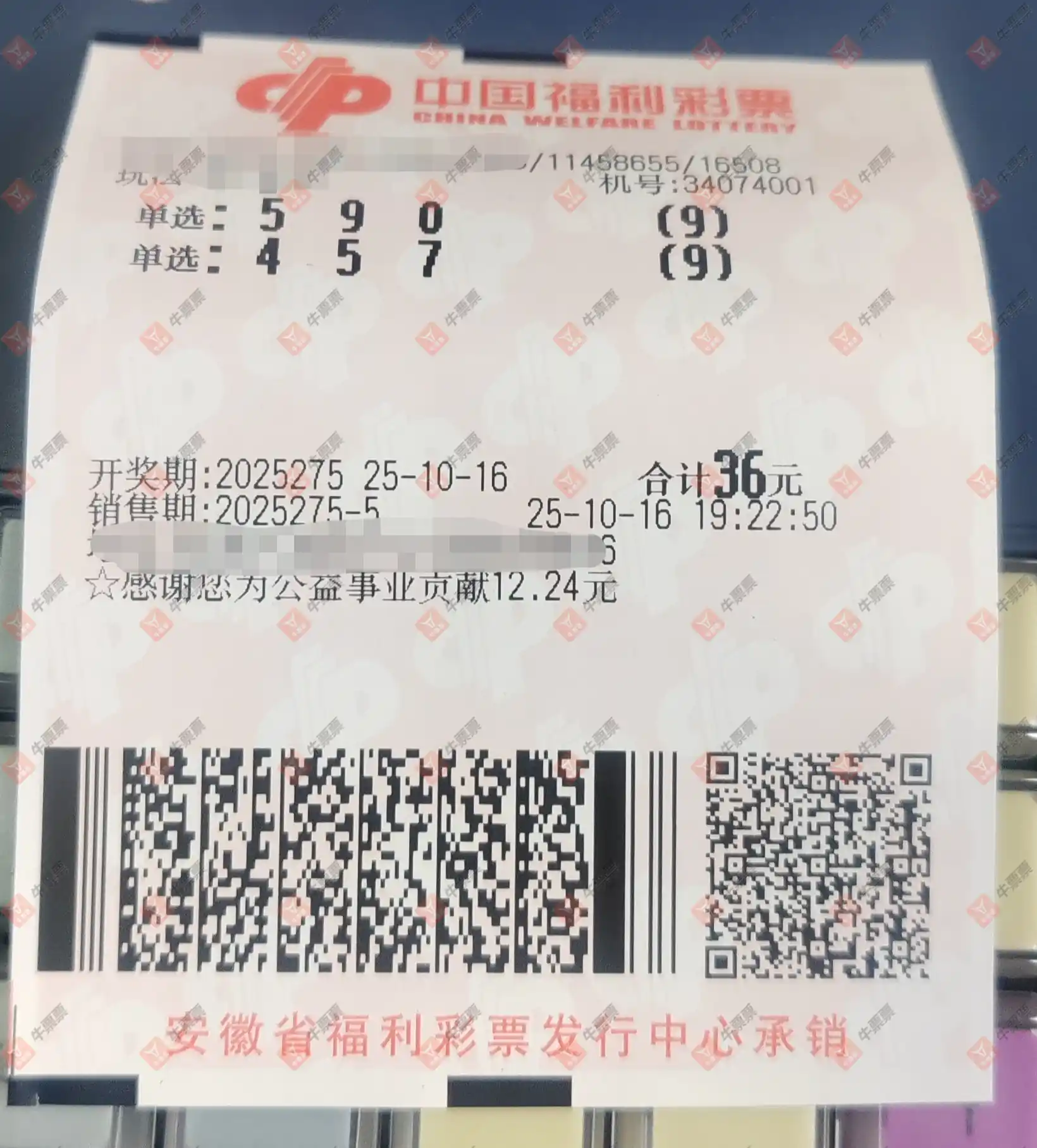牛票票