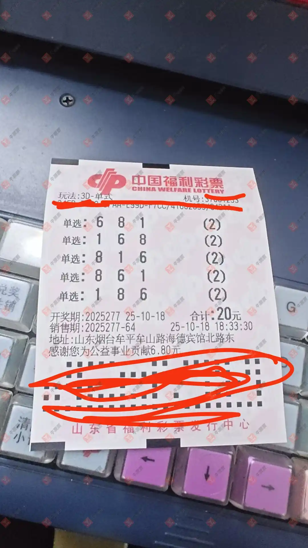 牛票票