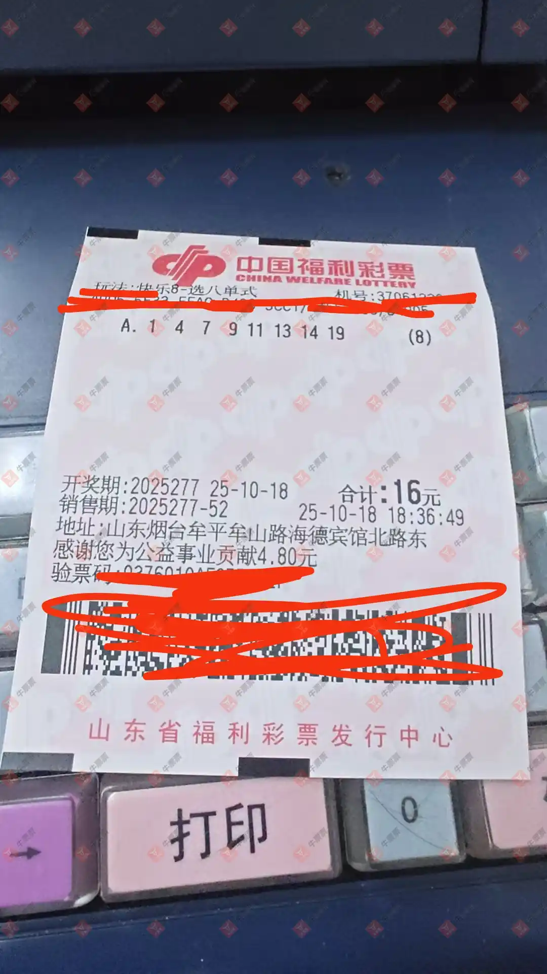 牛票票