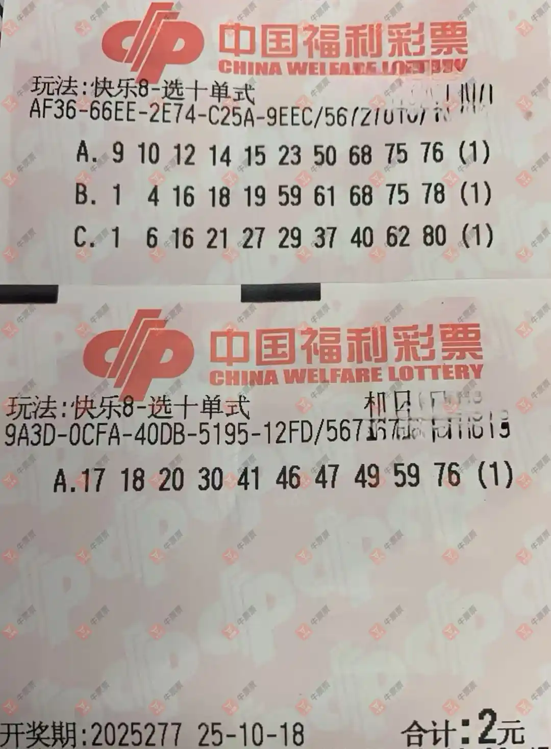 牛票票