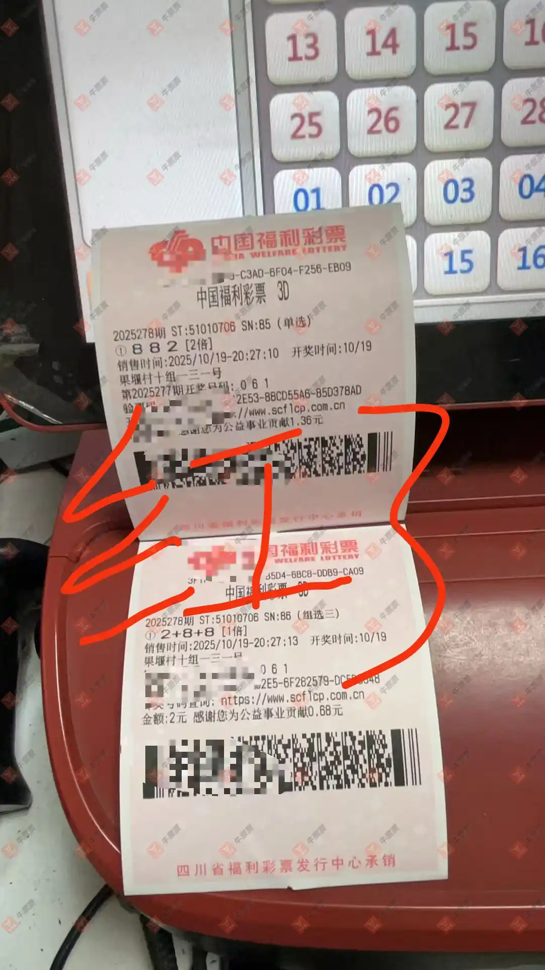 牛票票