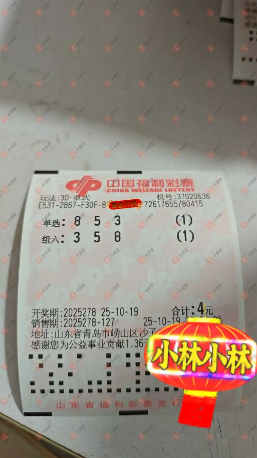 牛票票