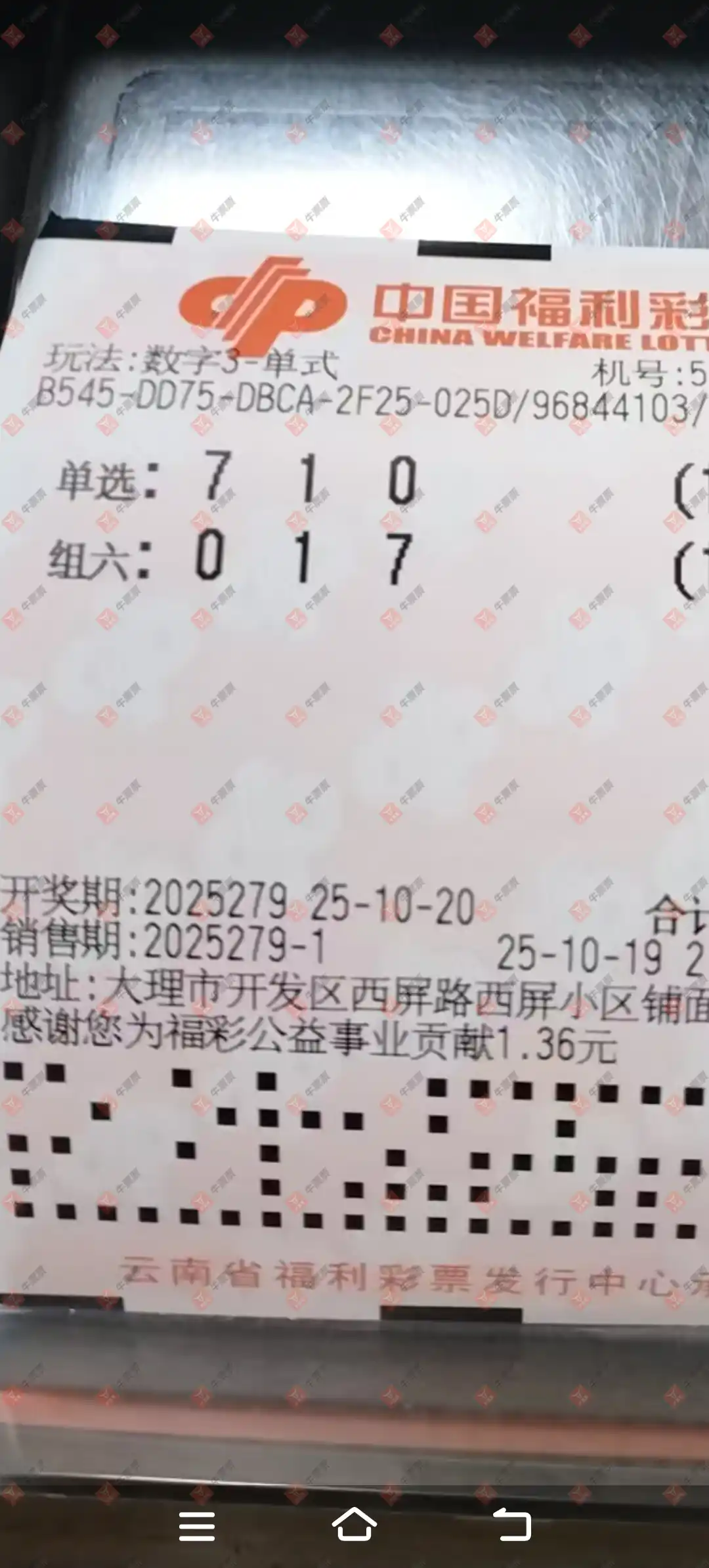牛票票