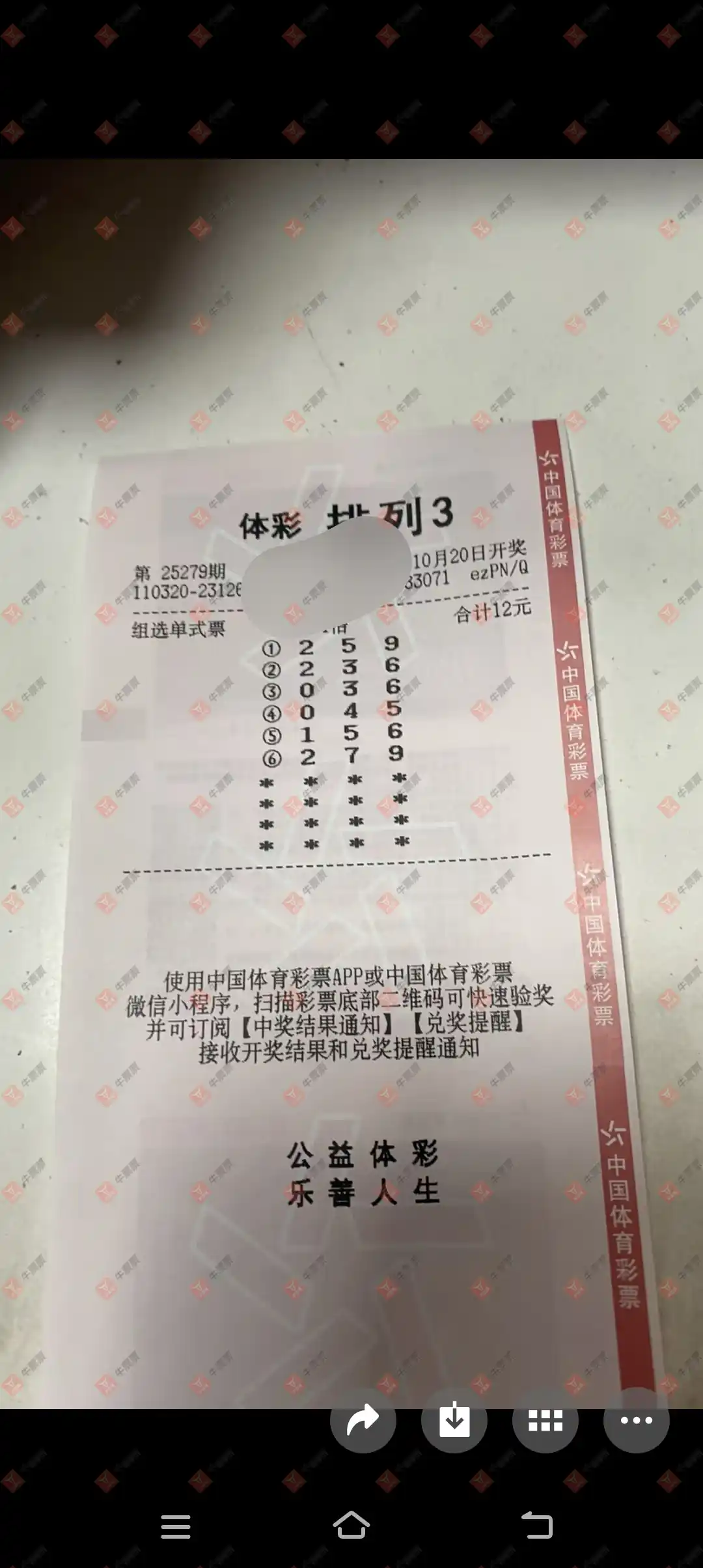 牛票票