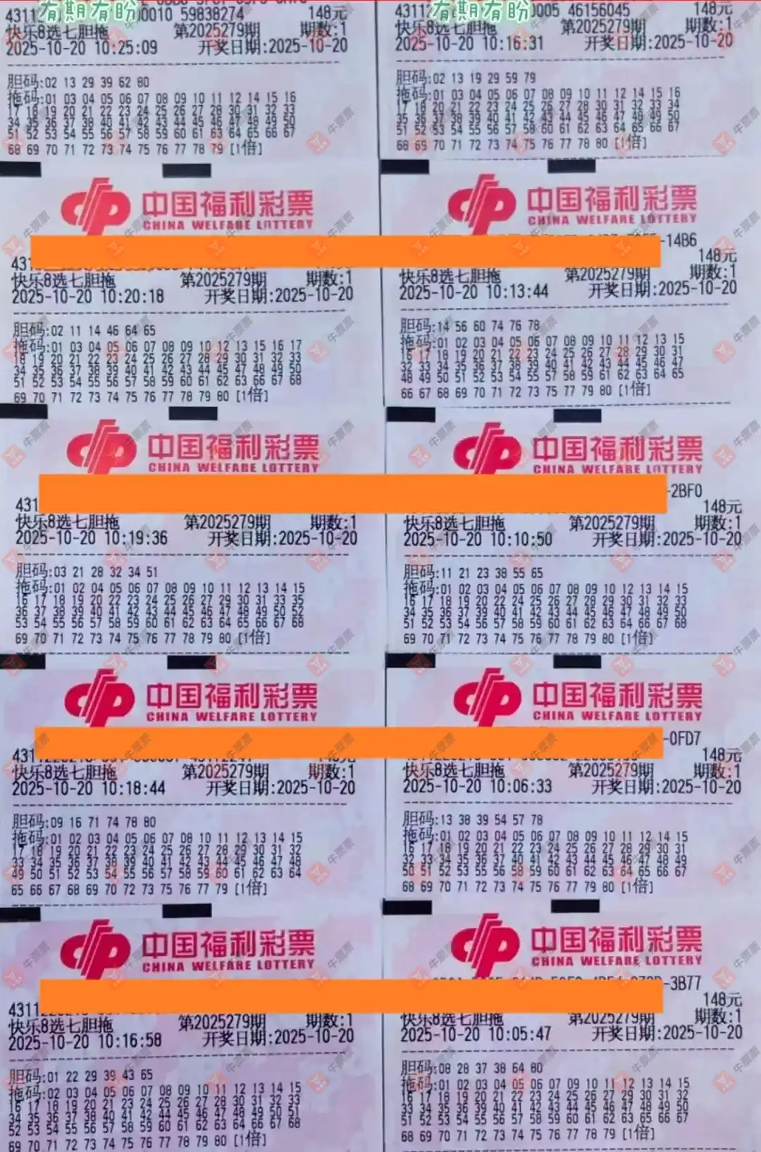 牛票票