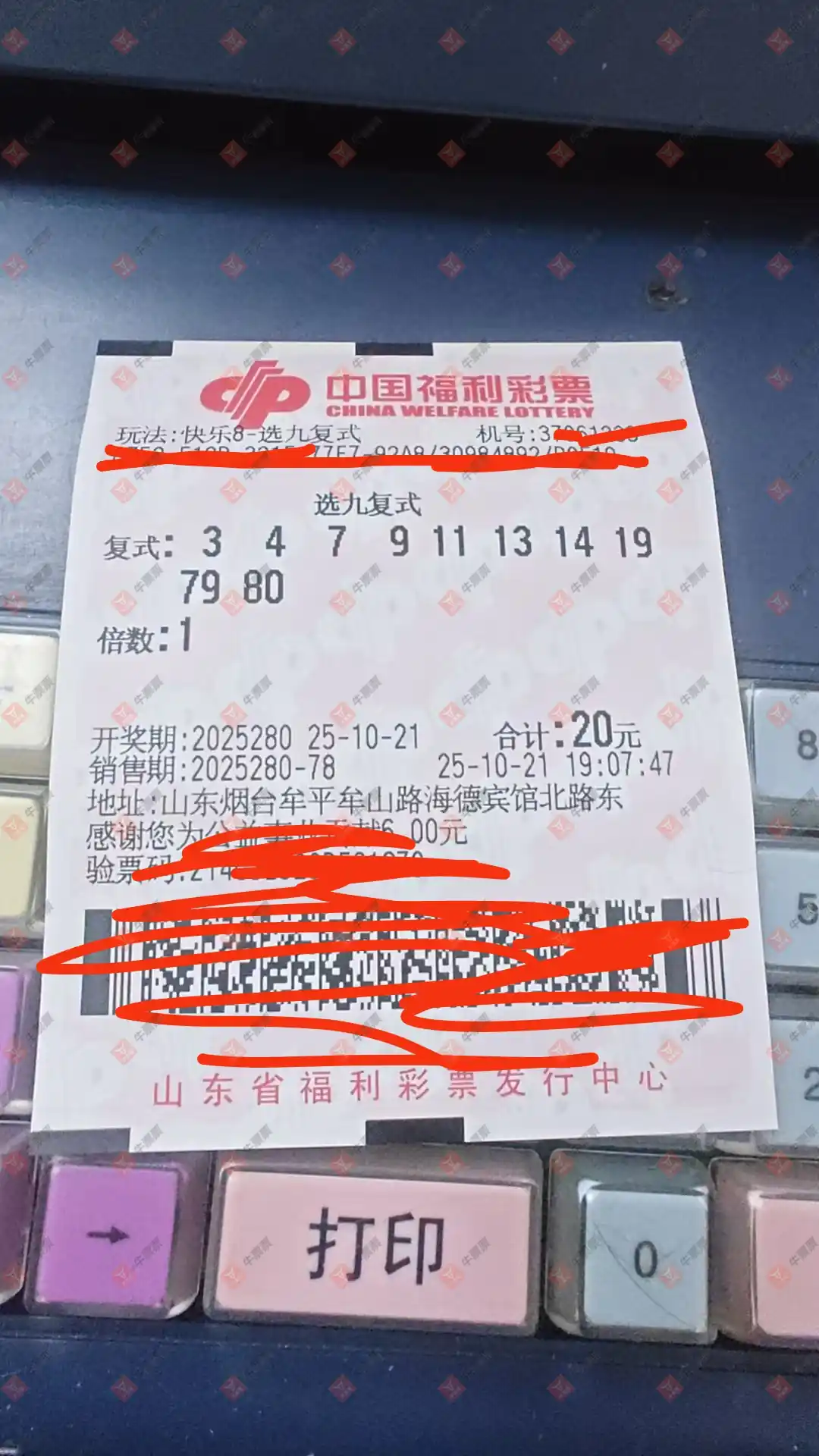 牛票票