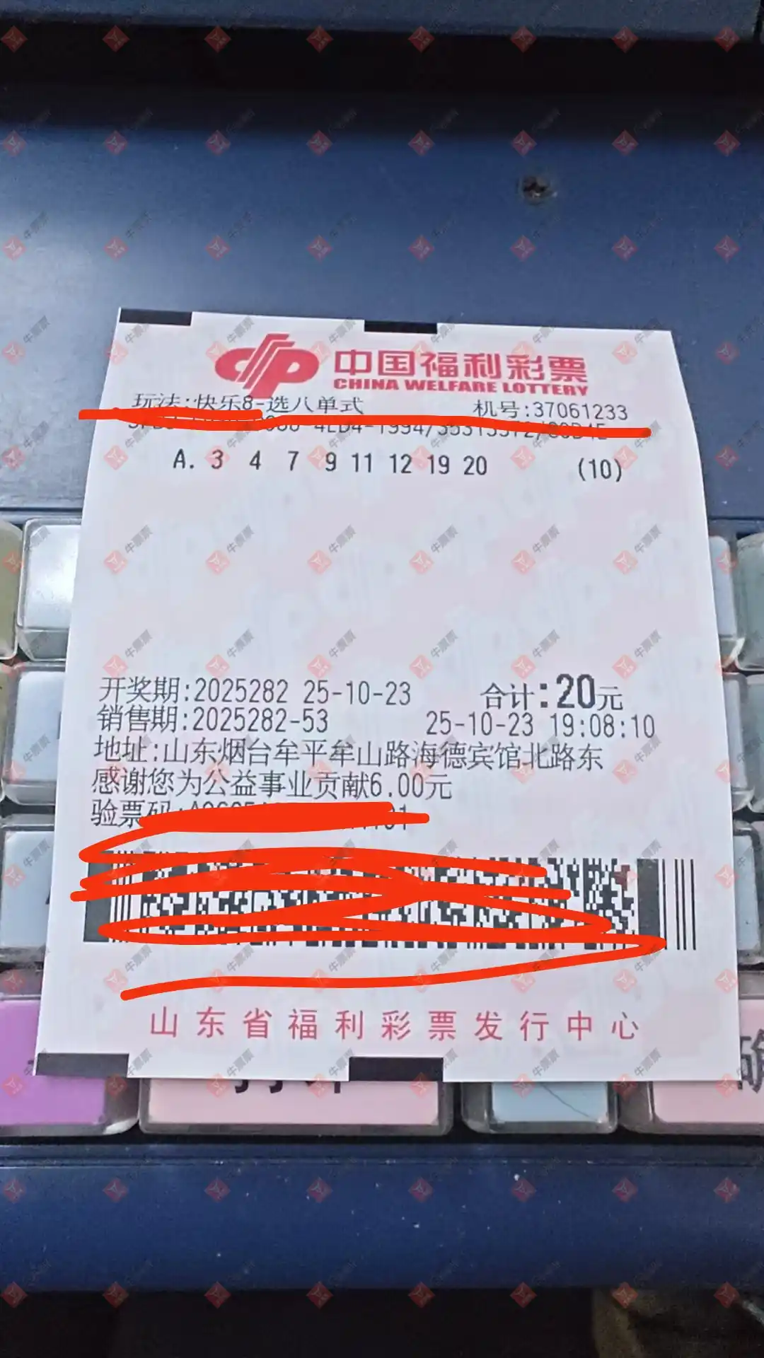 牛票票