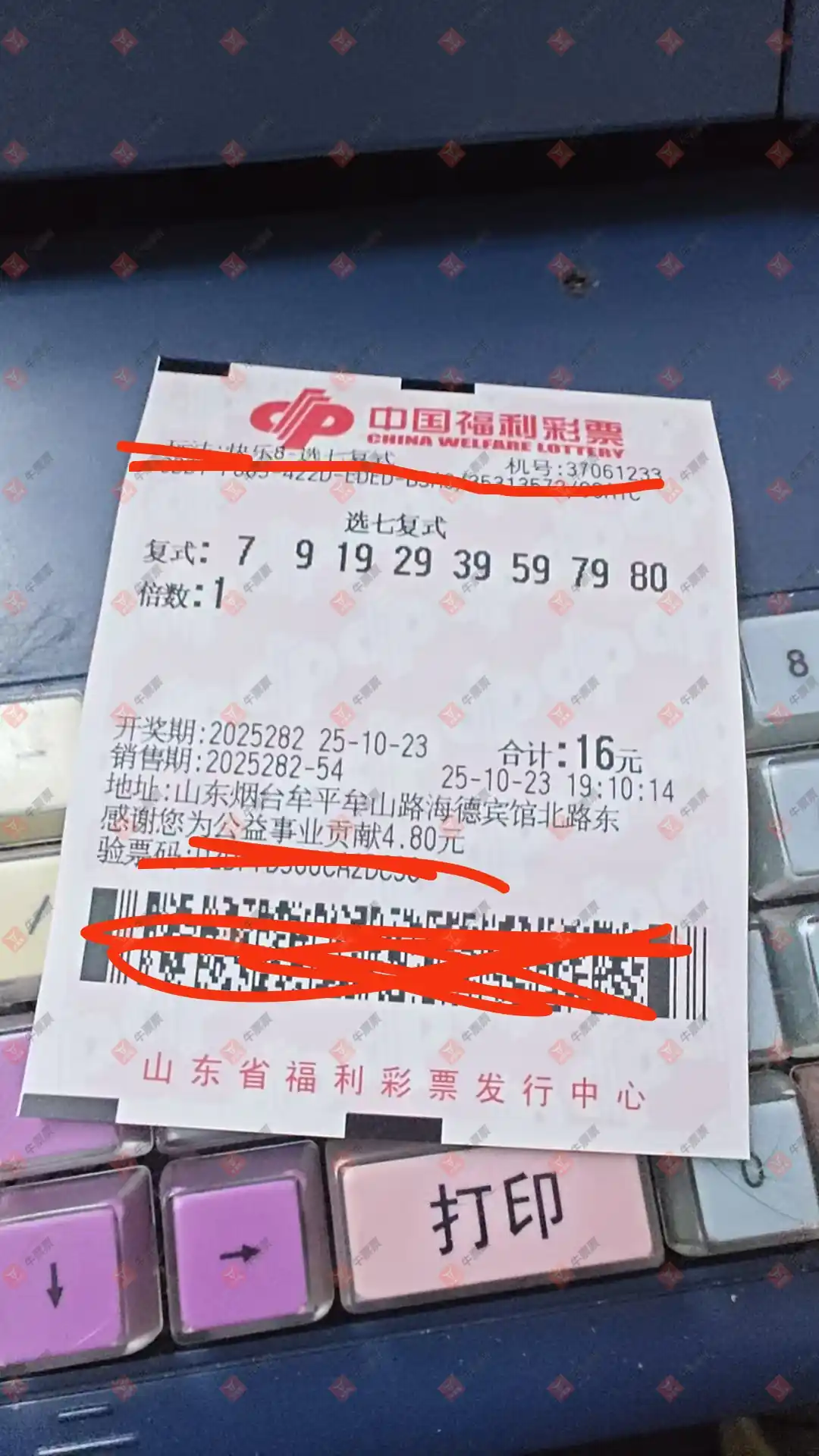 牛票票
