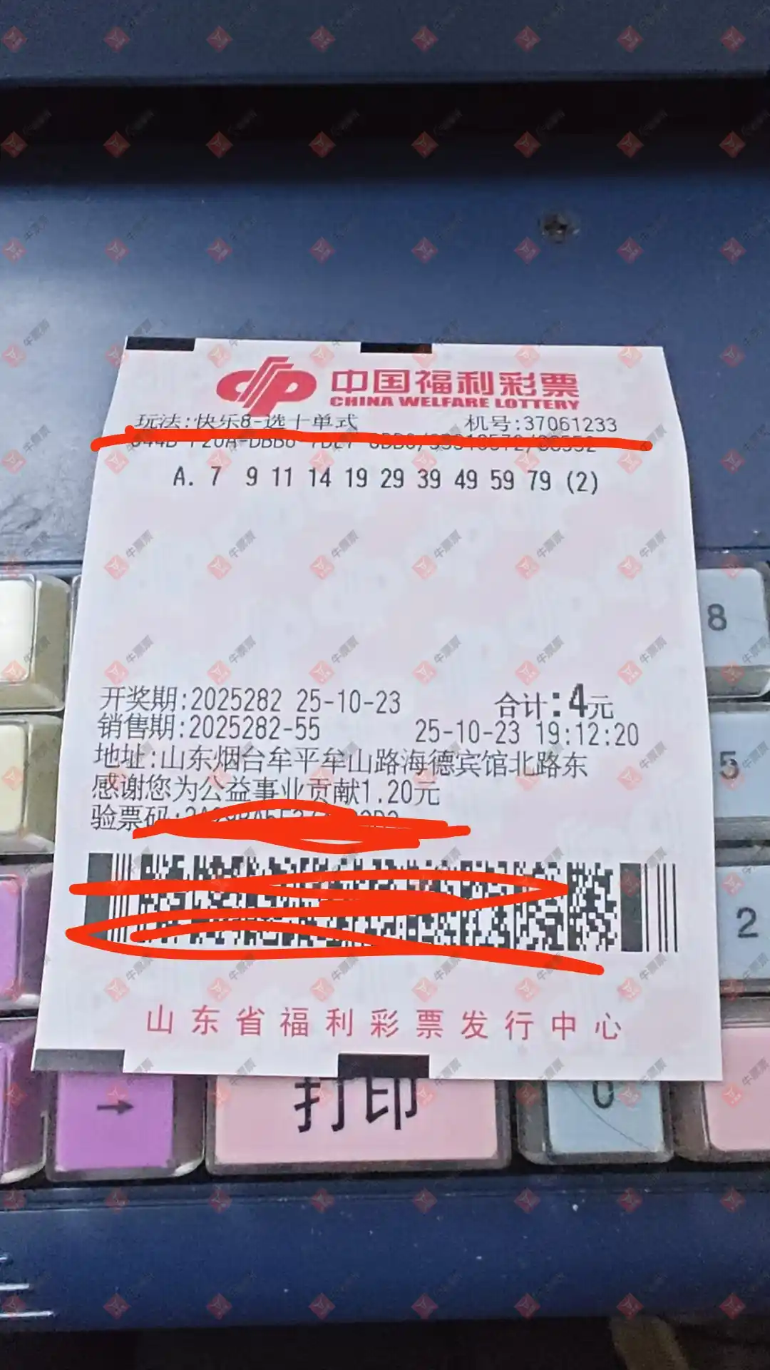 牛票票