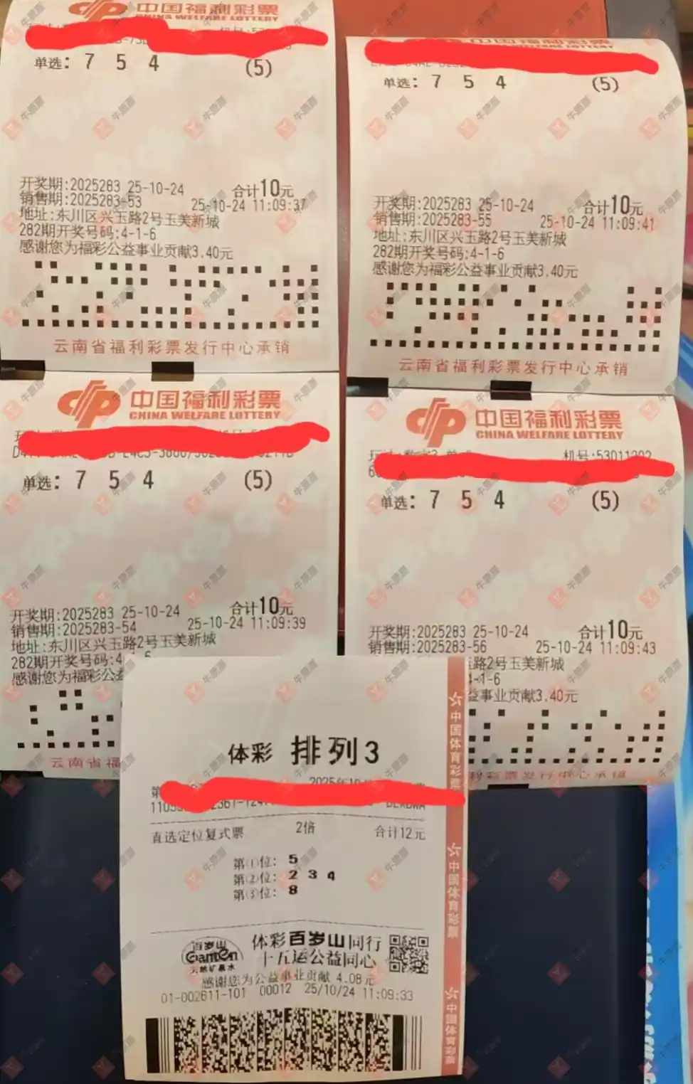 牛票票
