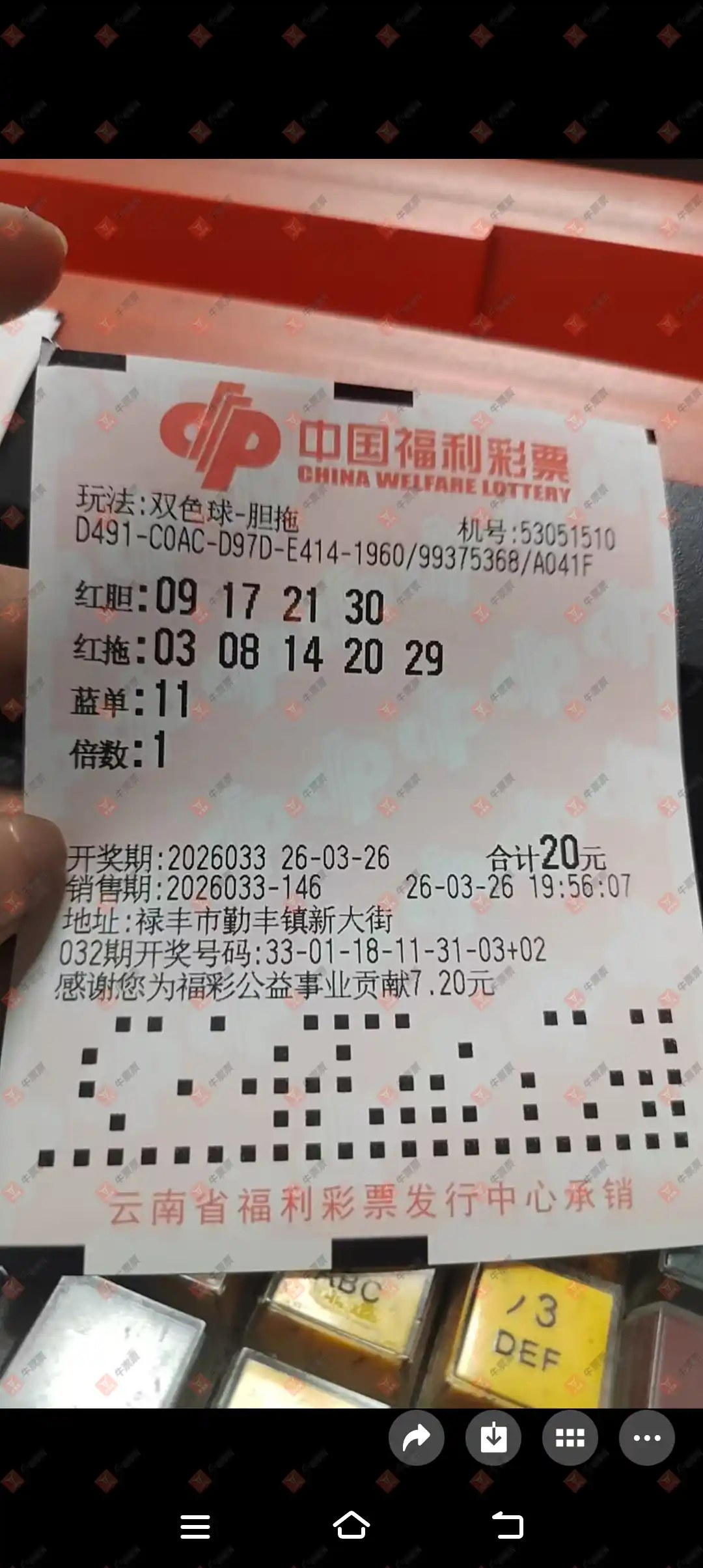 牛票票
