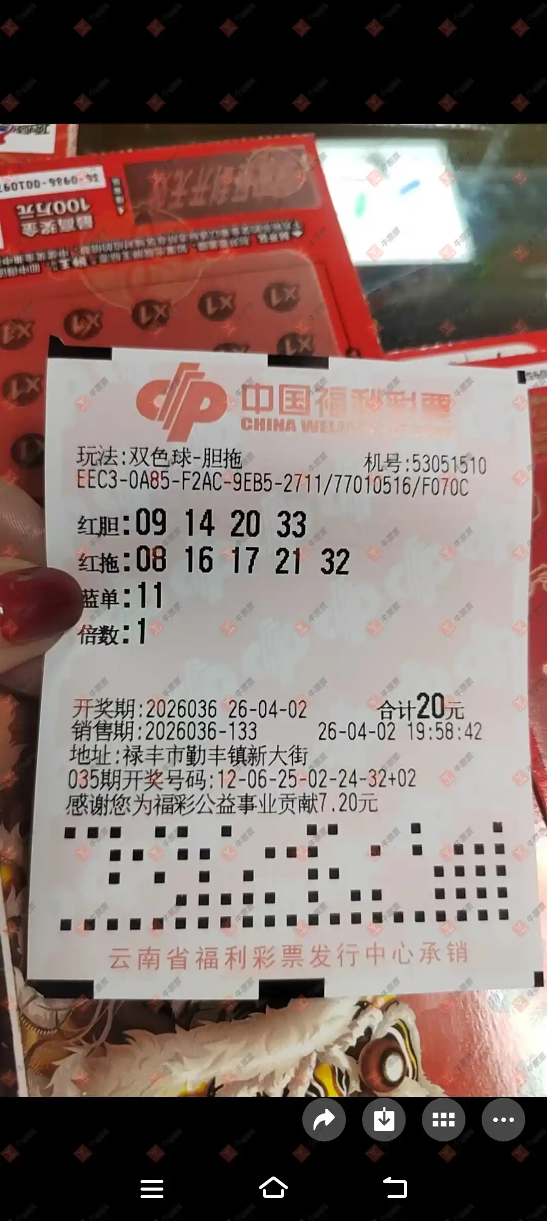牛票票