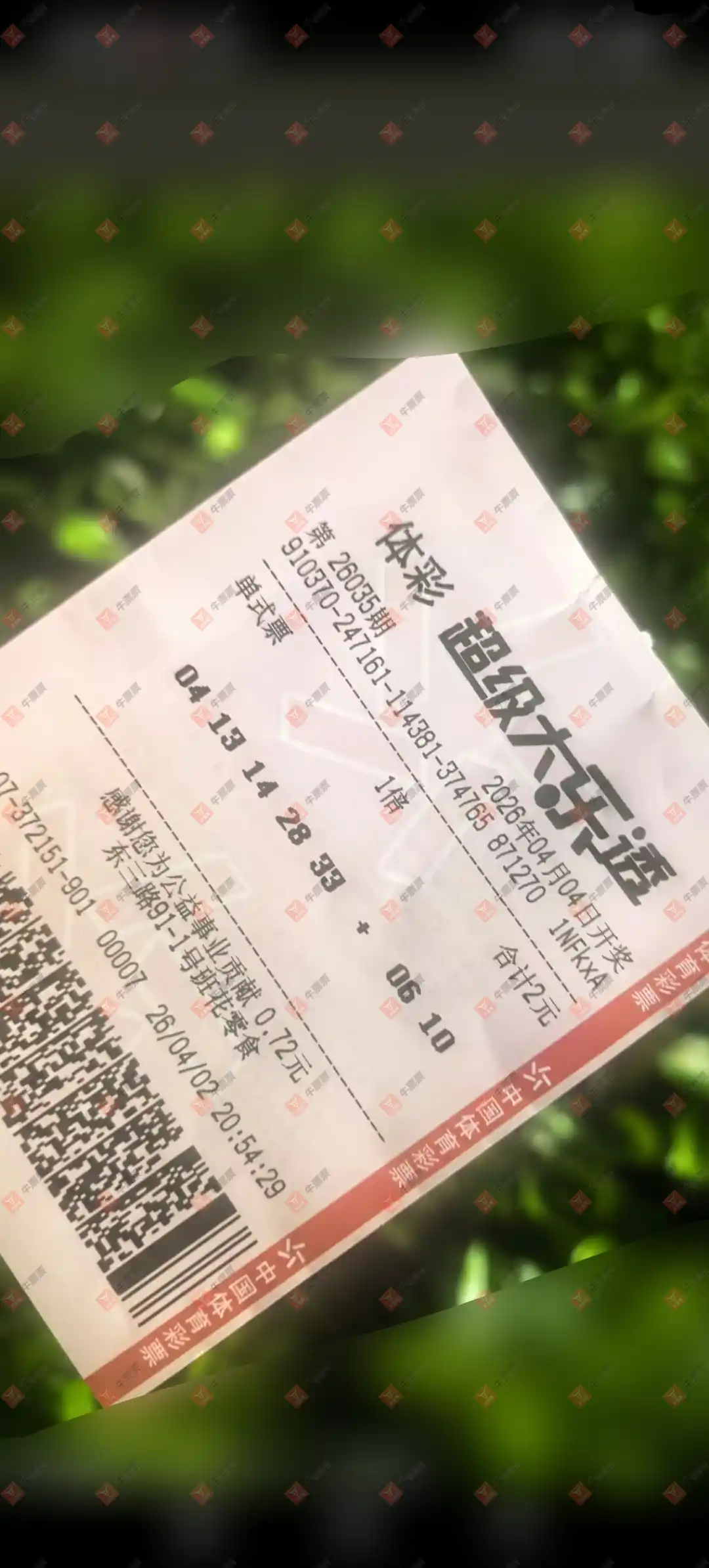 牛票票