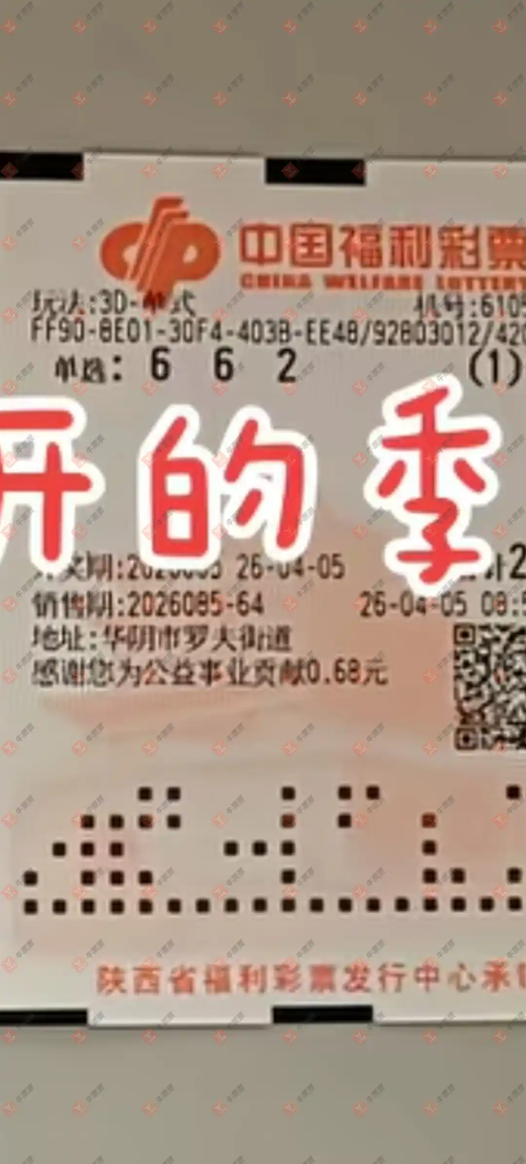 牛票票
