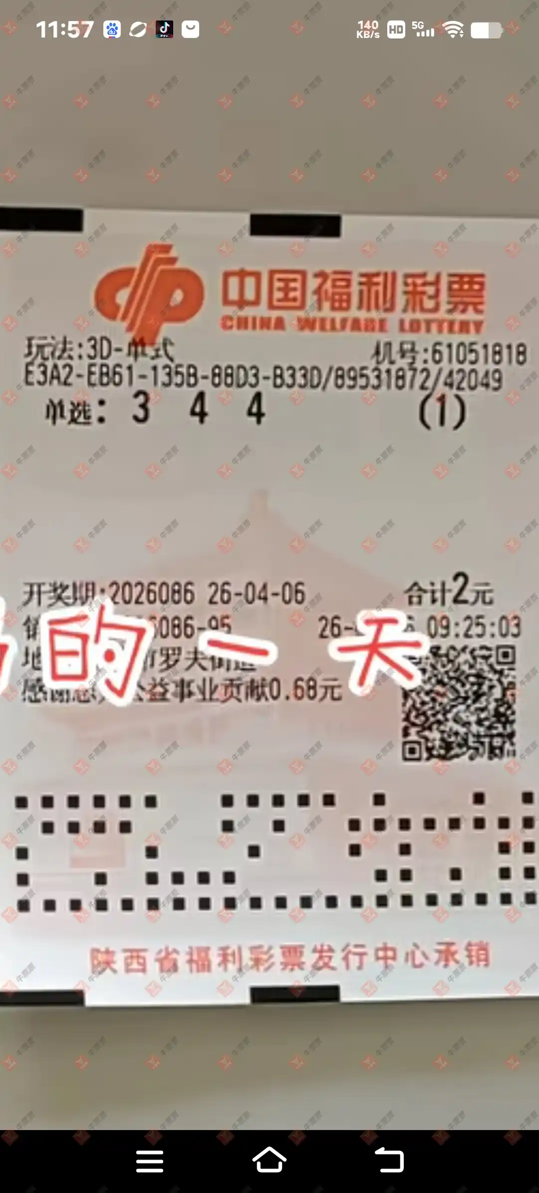 牛票票