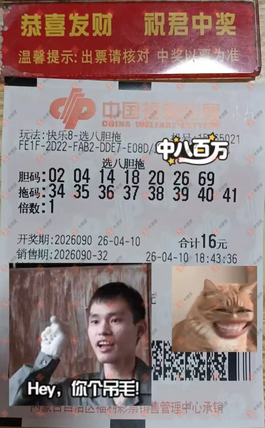 牛票票