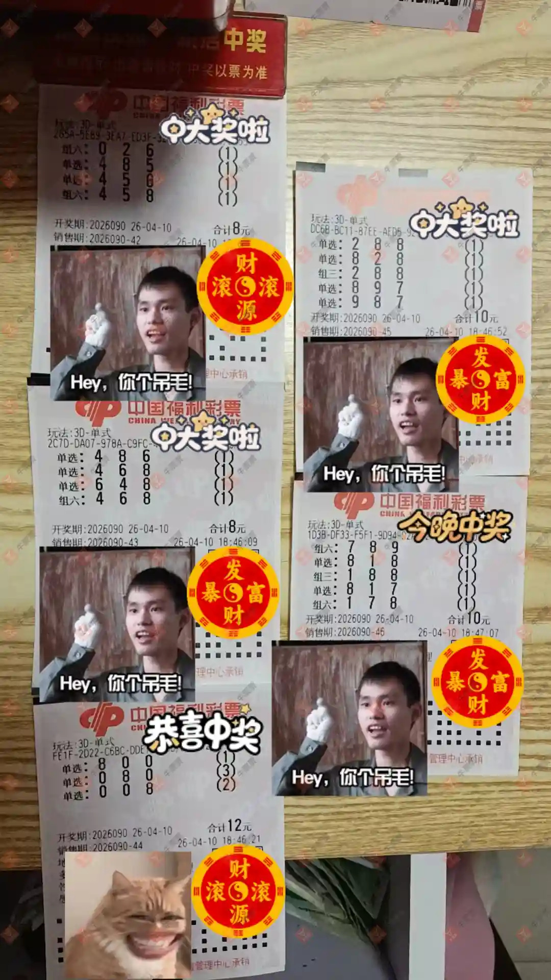 牛票票