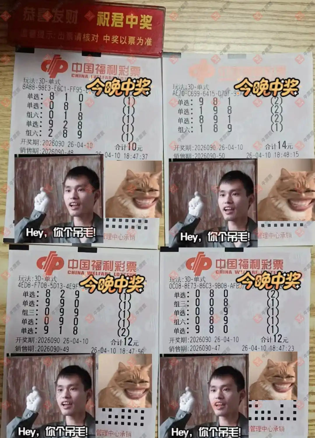 牛票票