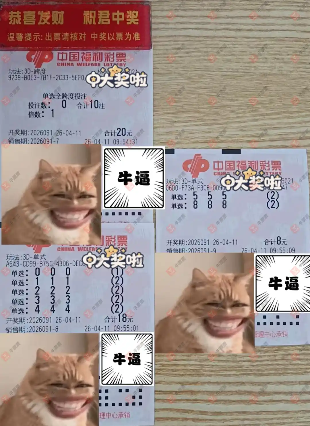 牛票票