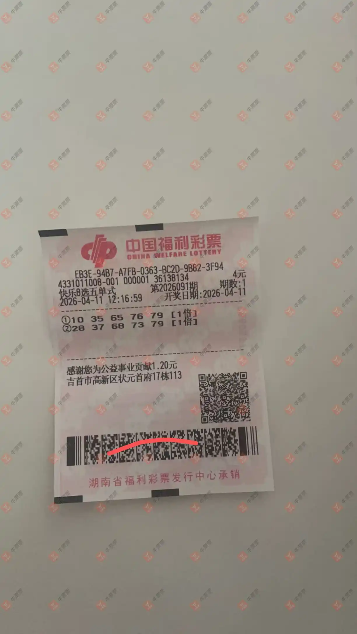 牛票票