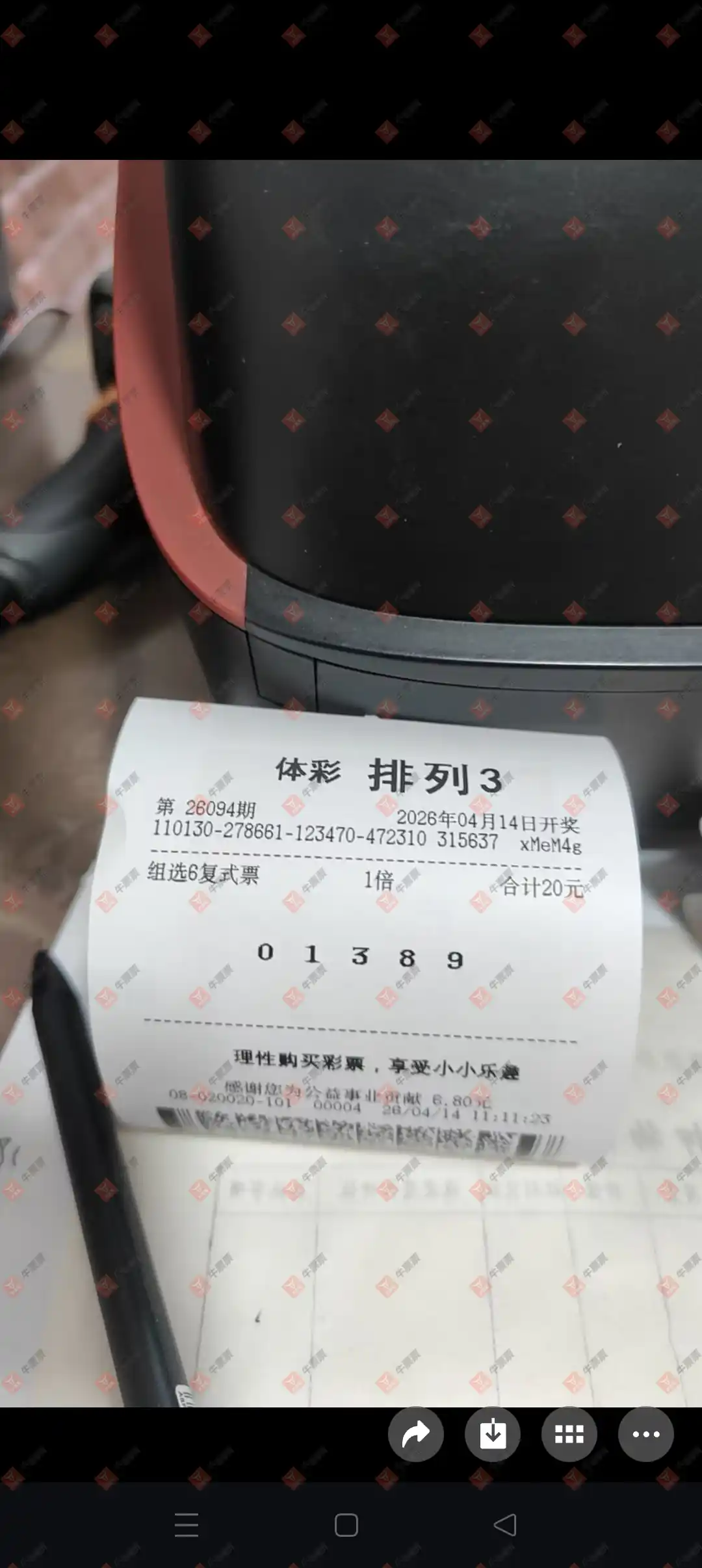 牛票票