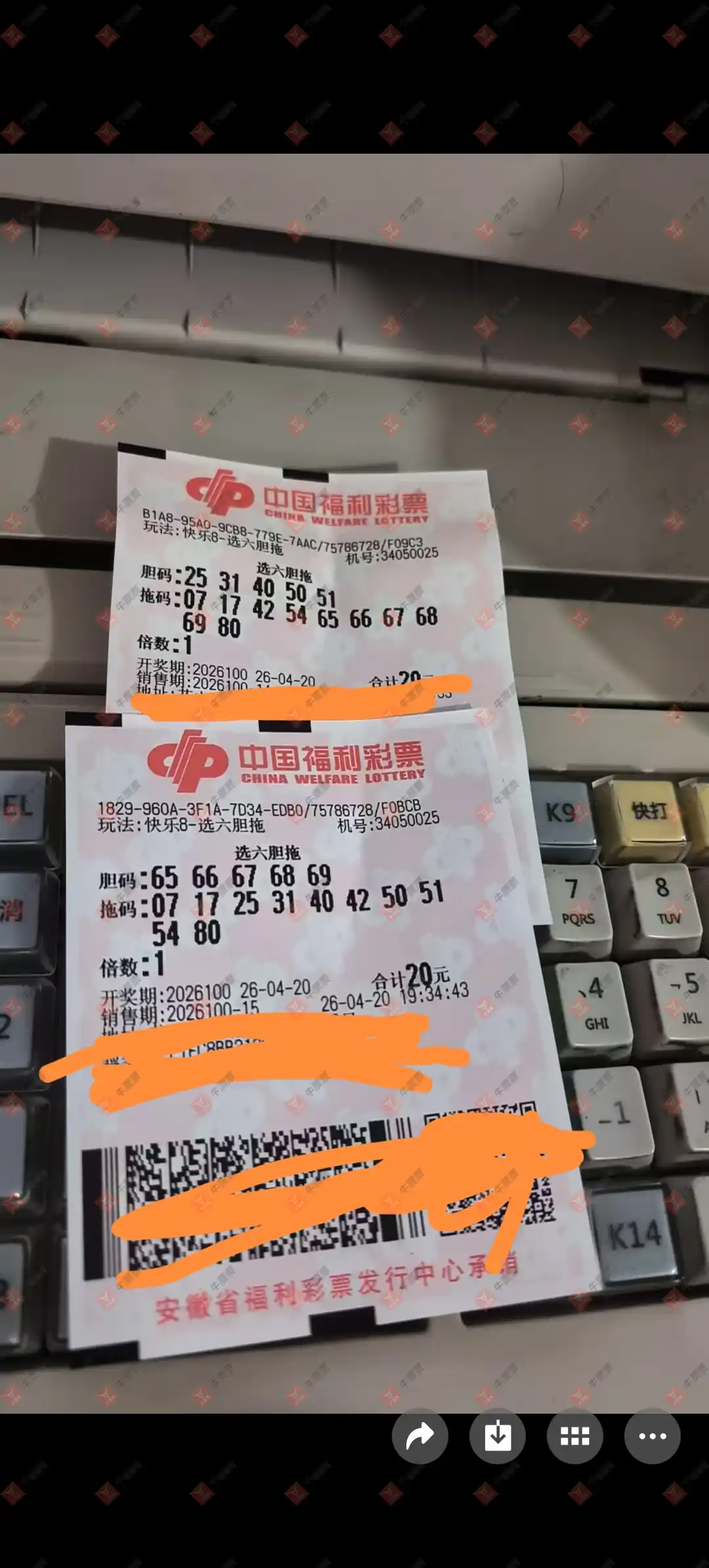 牛票票