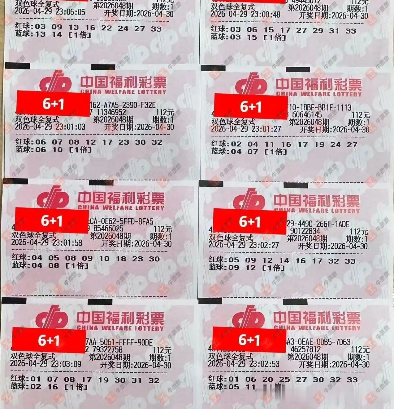牛票票