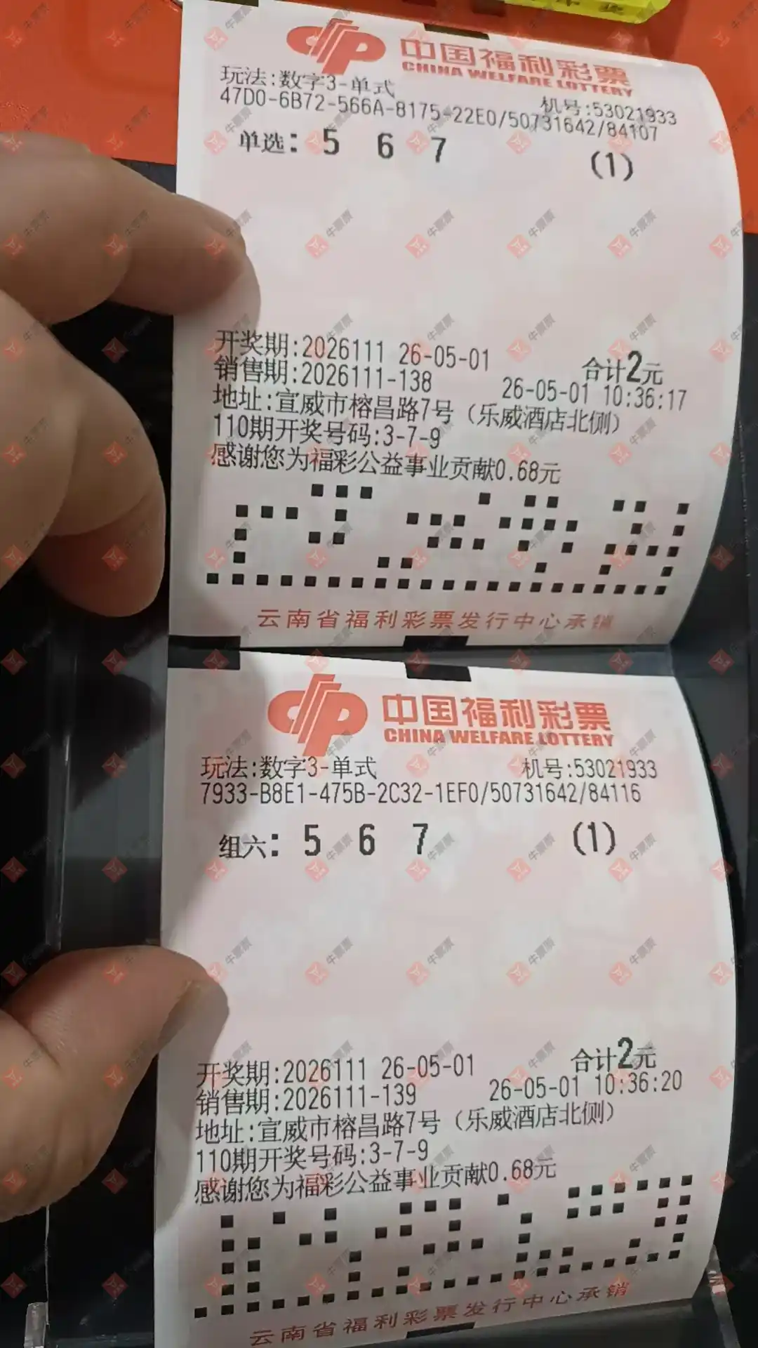 牛票票