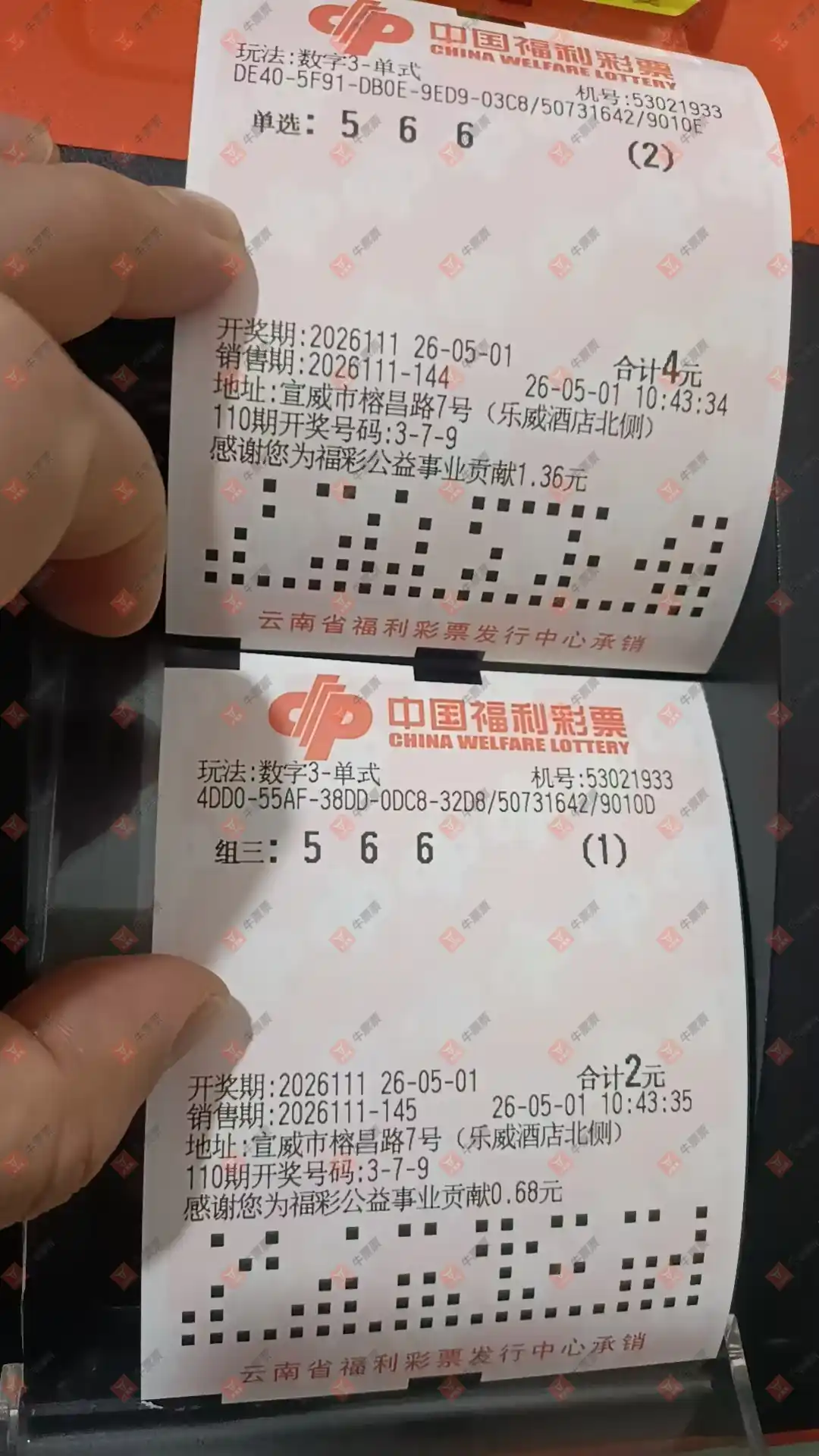 牛票票