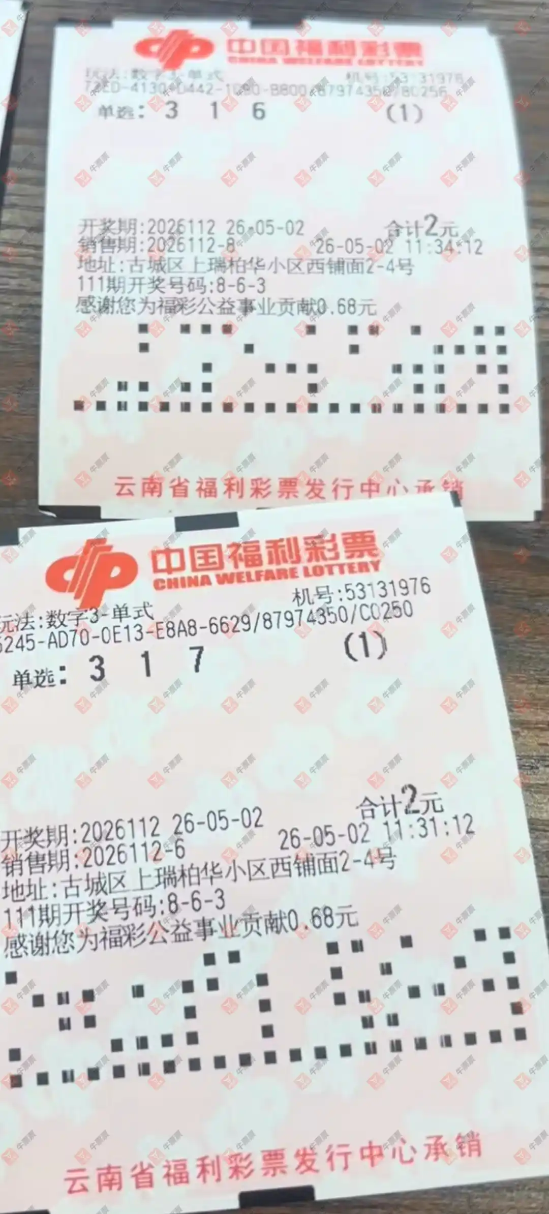 牛票票