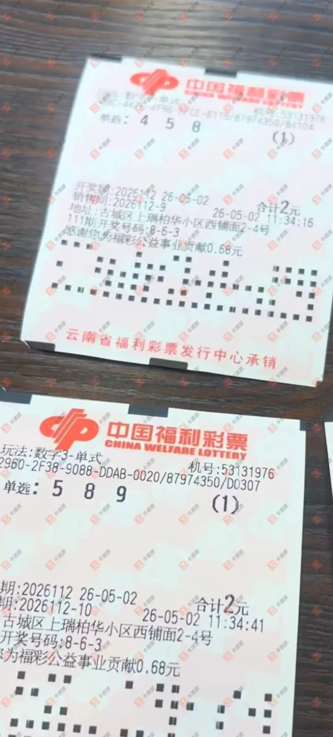 牛票票