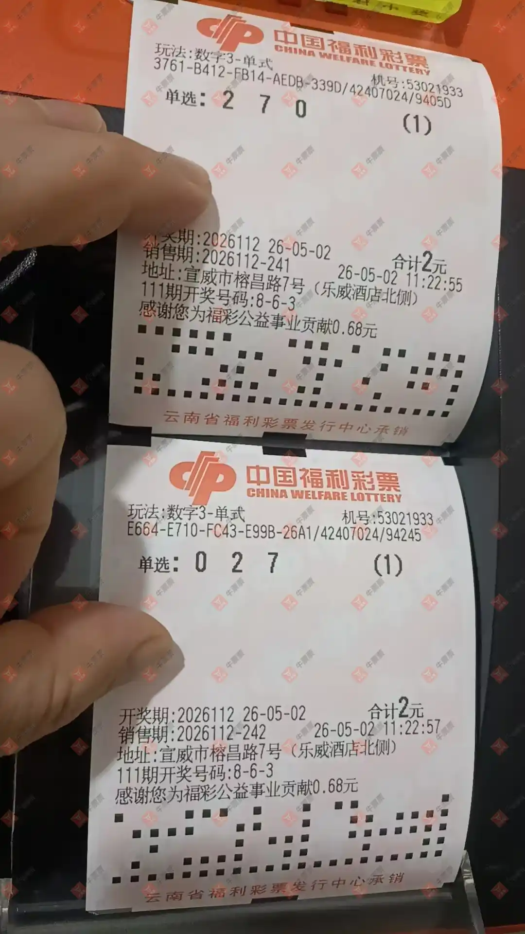 牛票票