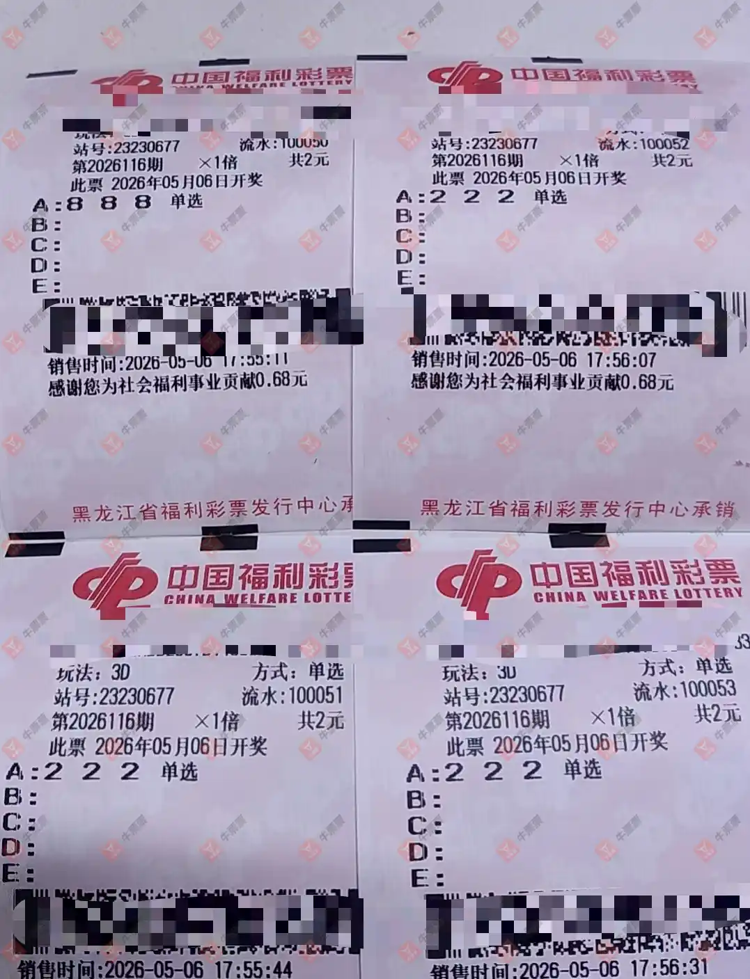 牛票票