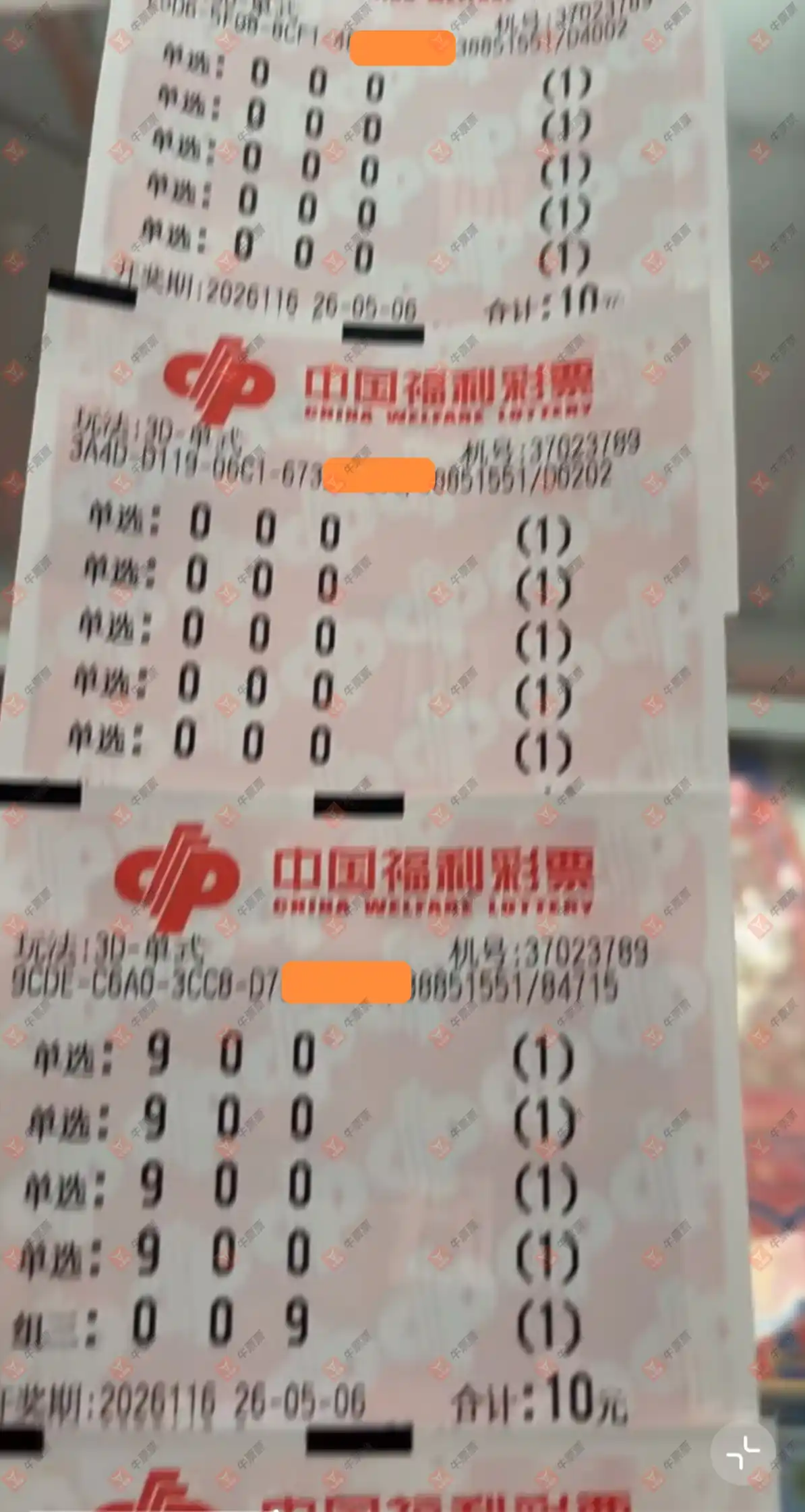 牛票票