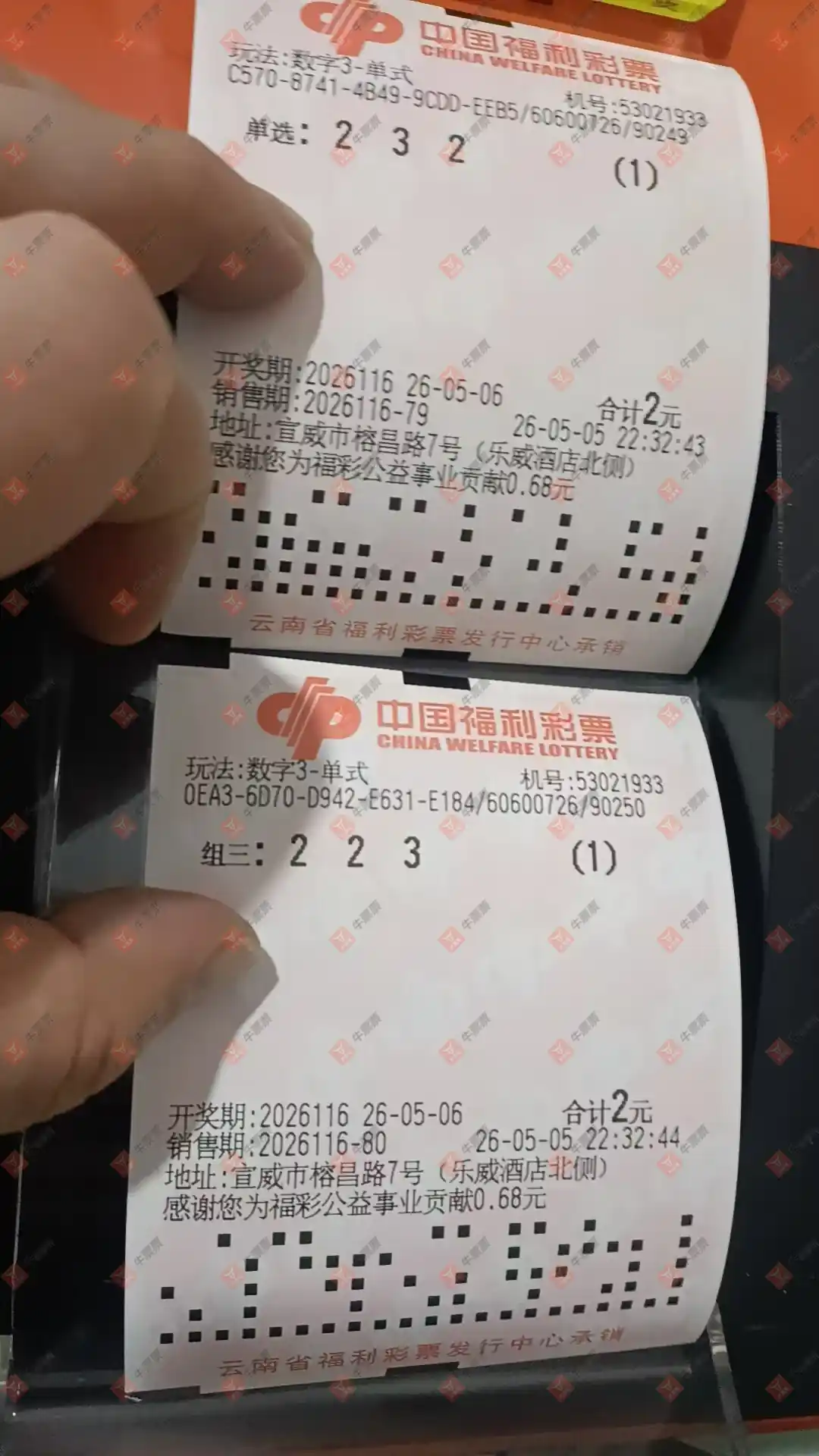 牛票票