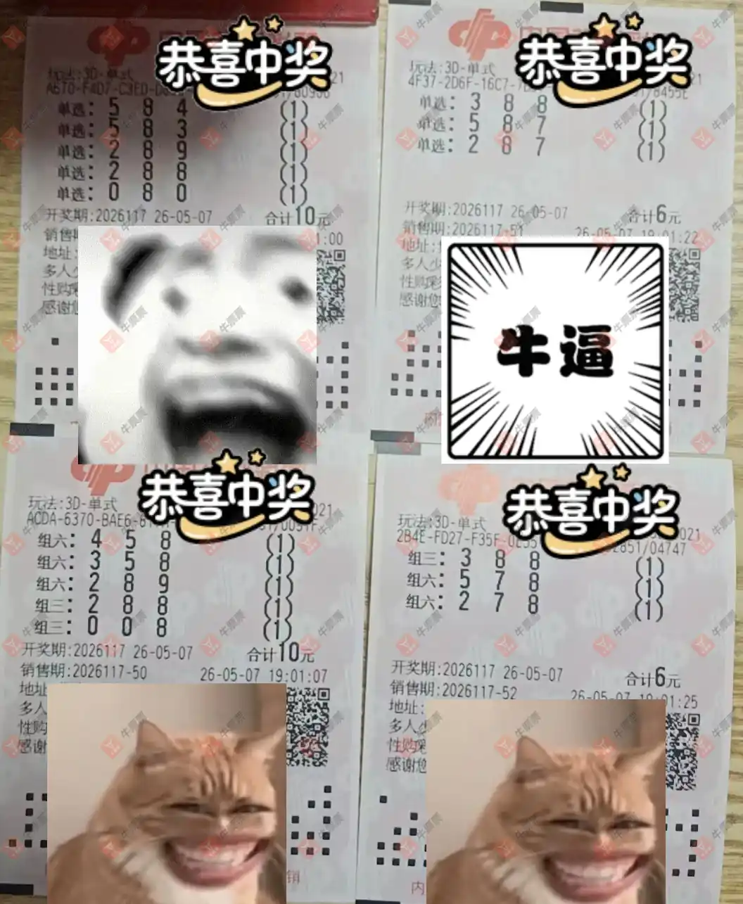 牛票票