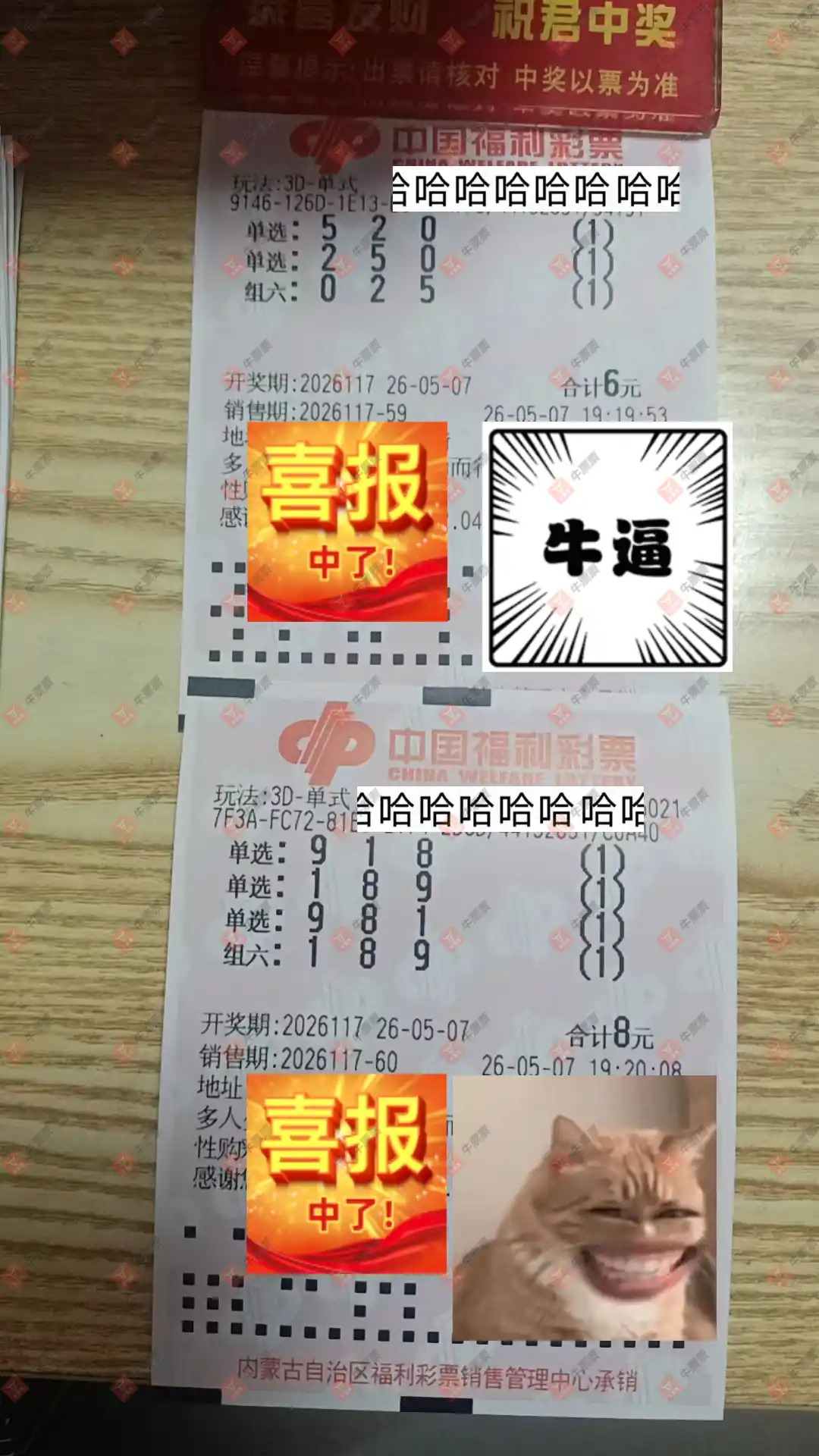 牛票票