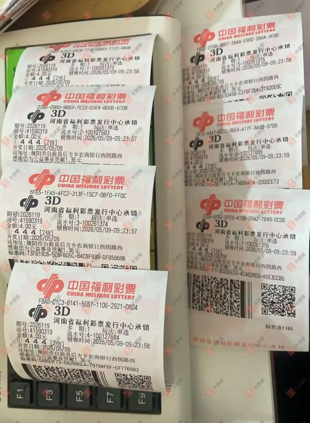牛票票