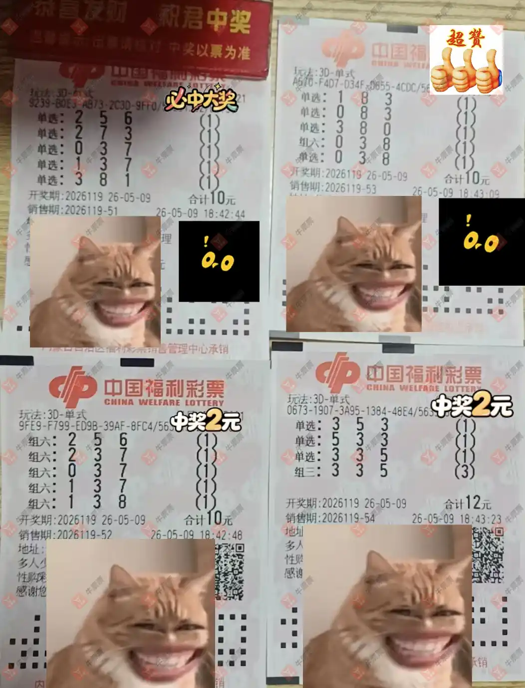 牛票票