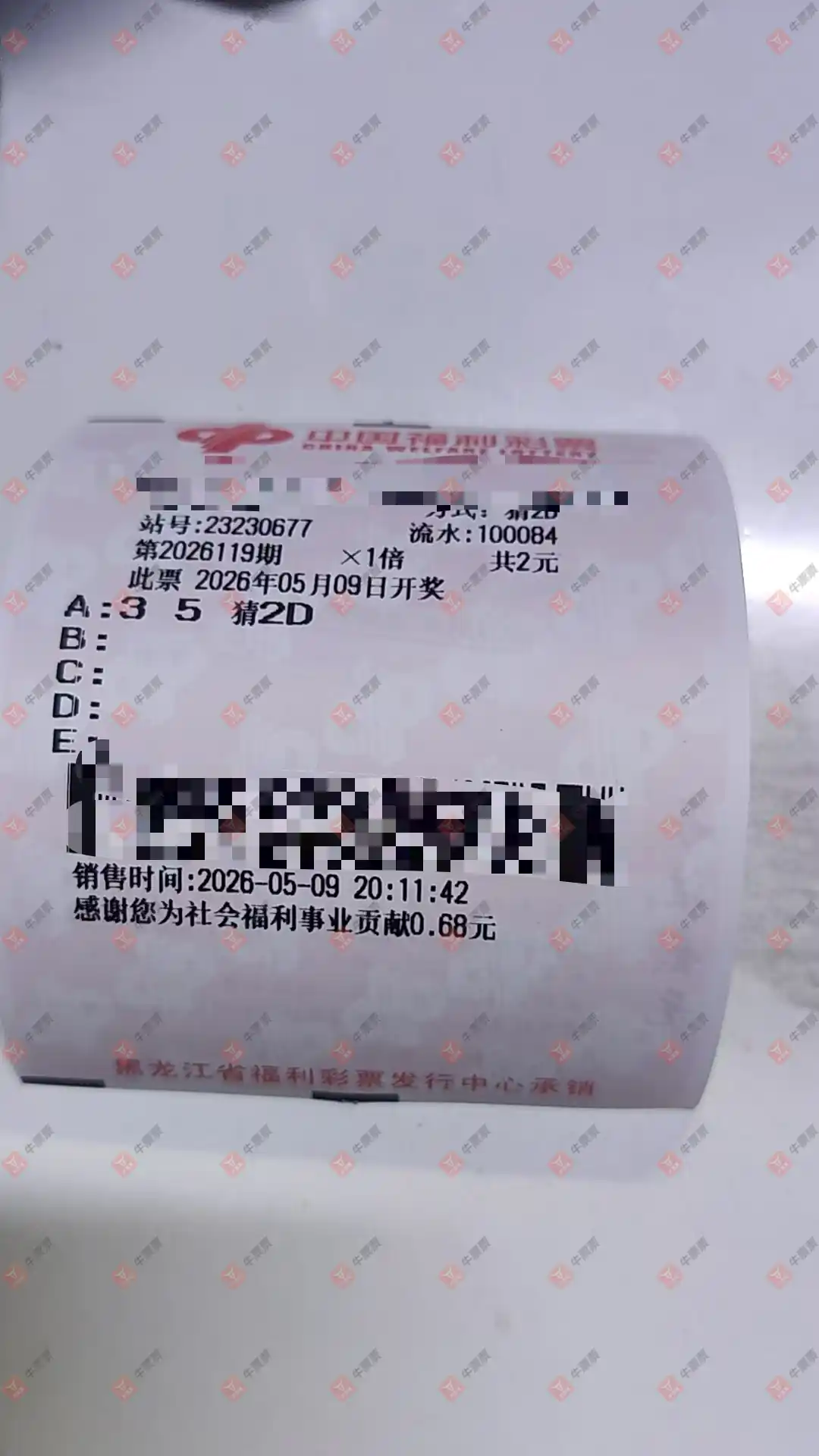 牛票票