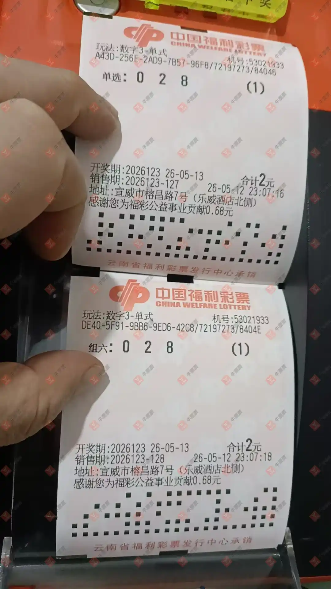 牛票票