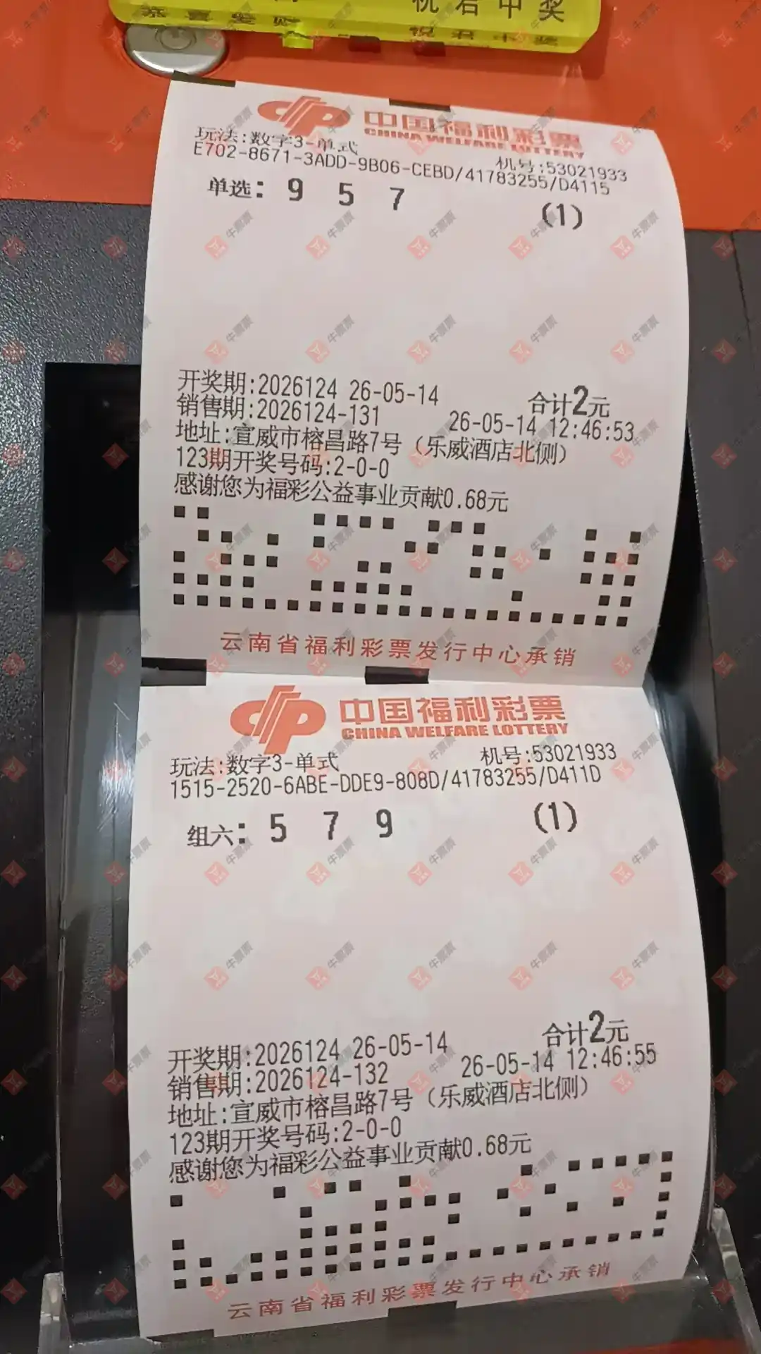 牛票票