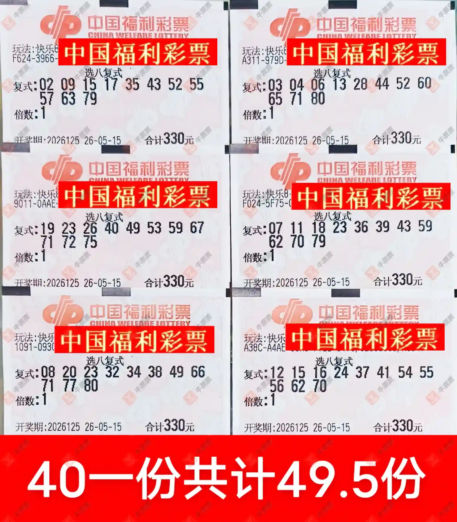 牛票票