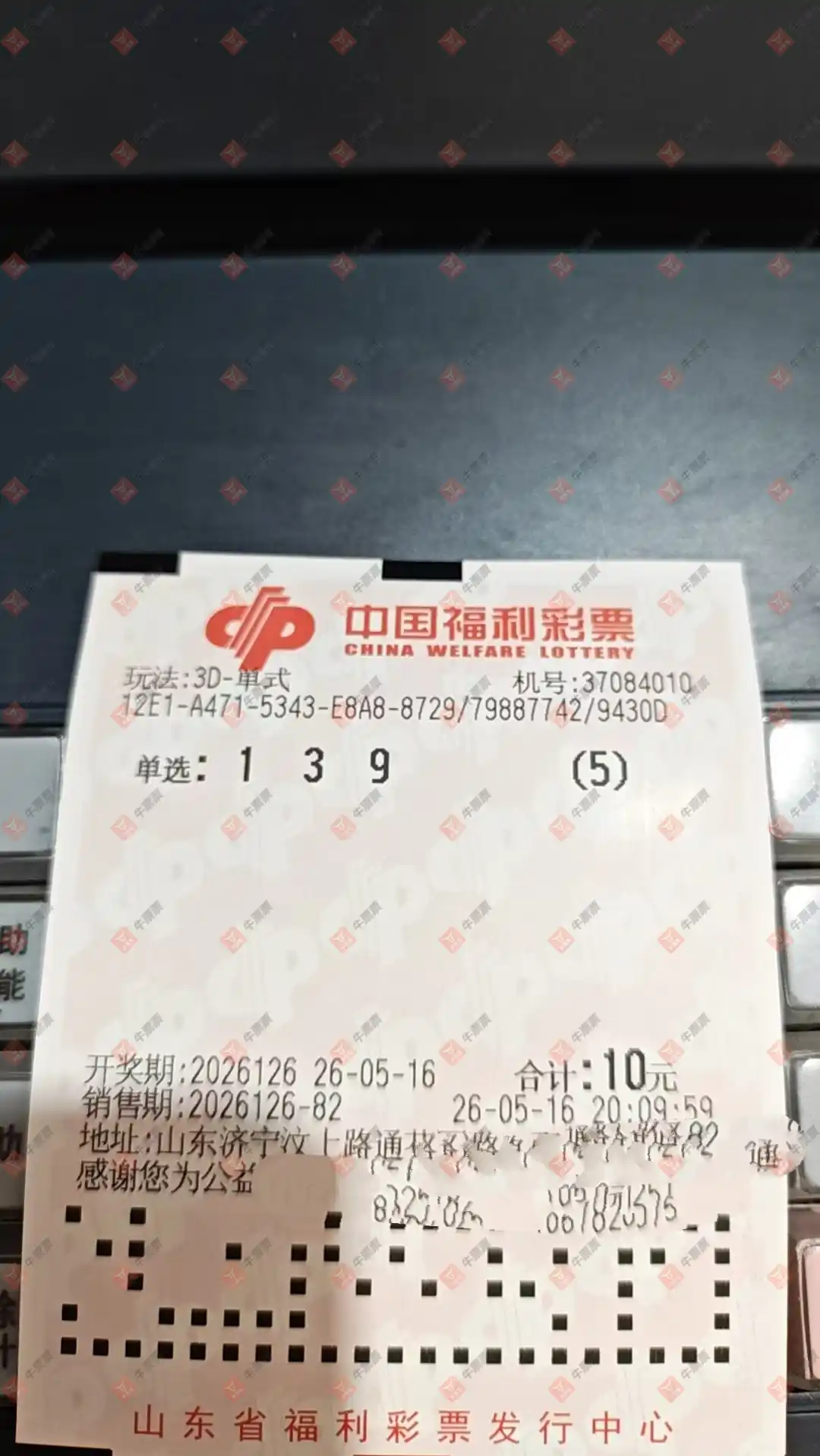 牛票票