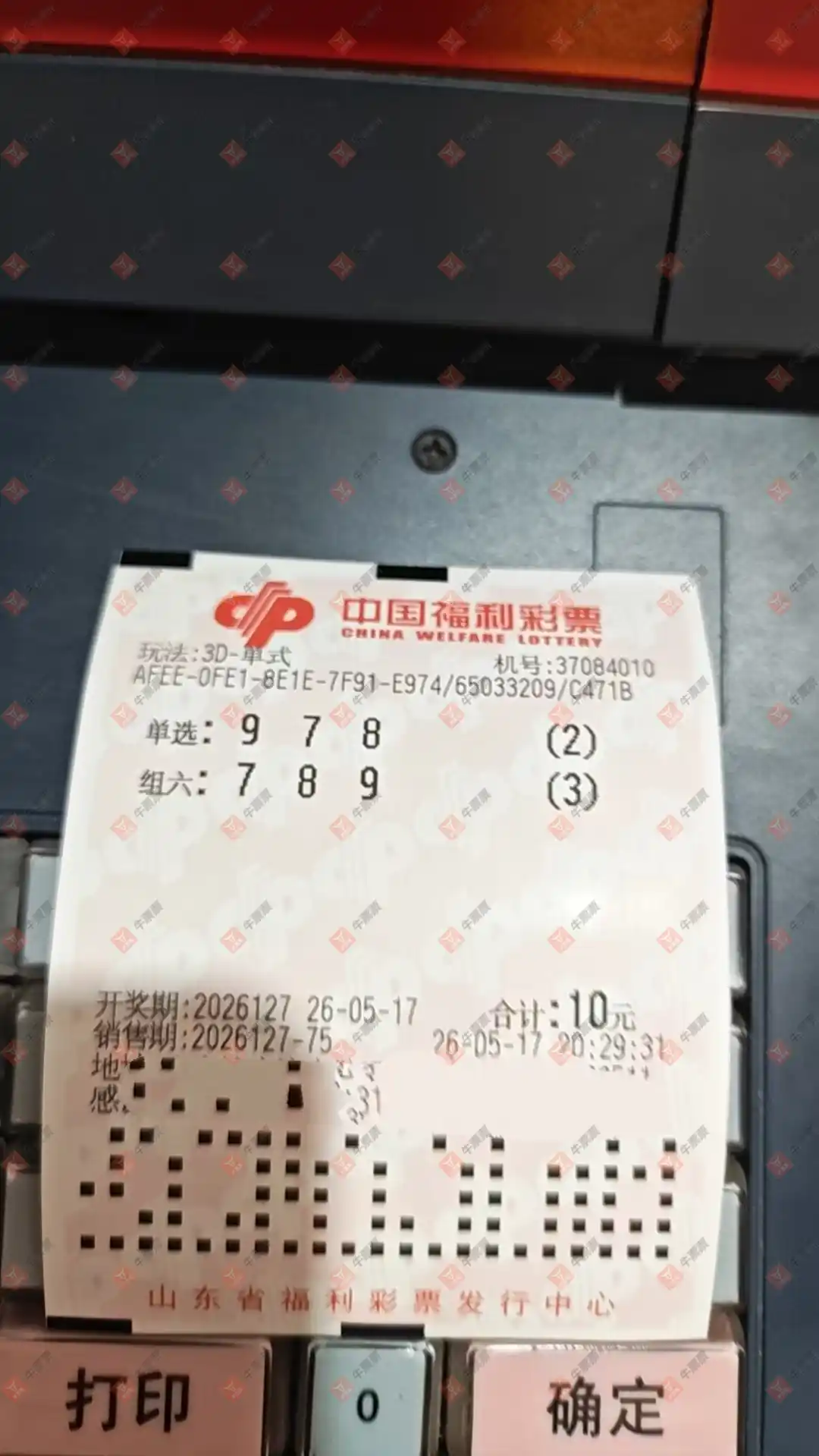牛票票