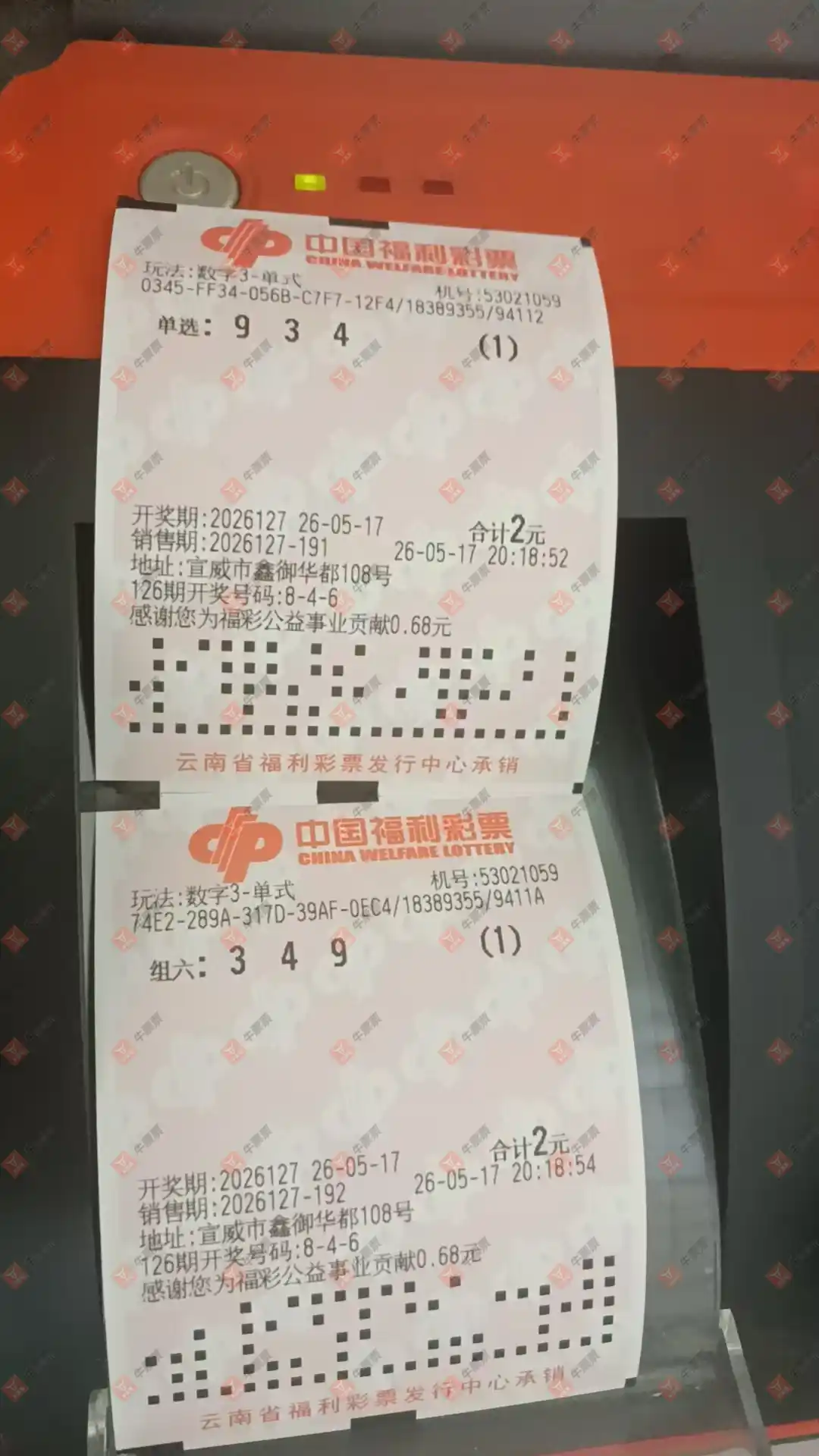 牛票票
