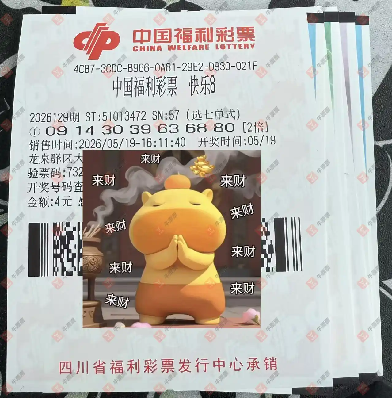 牛票票