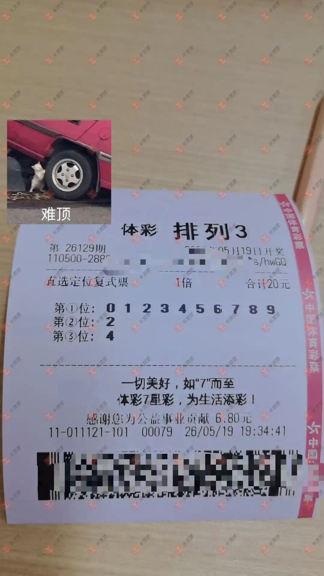 牛票票