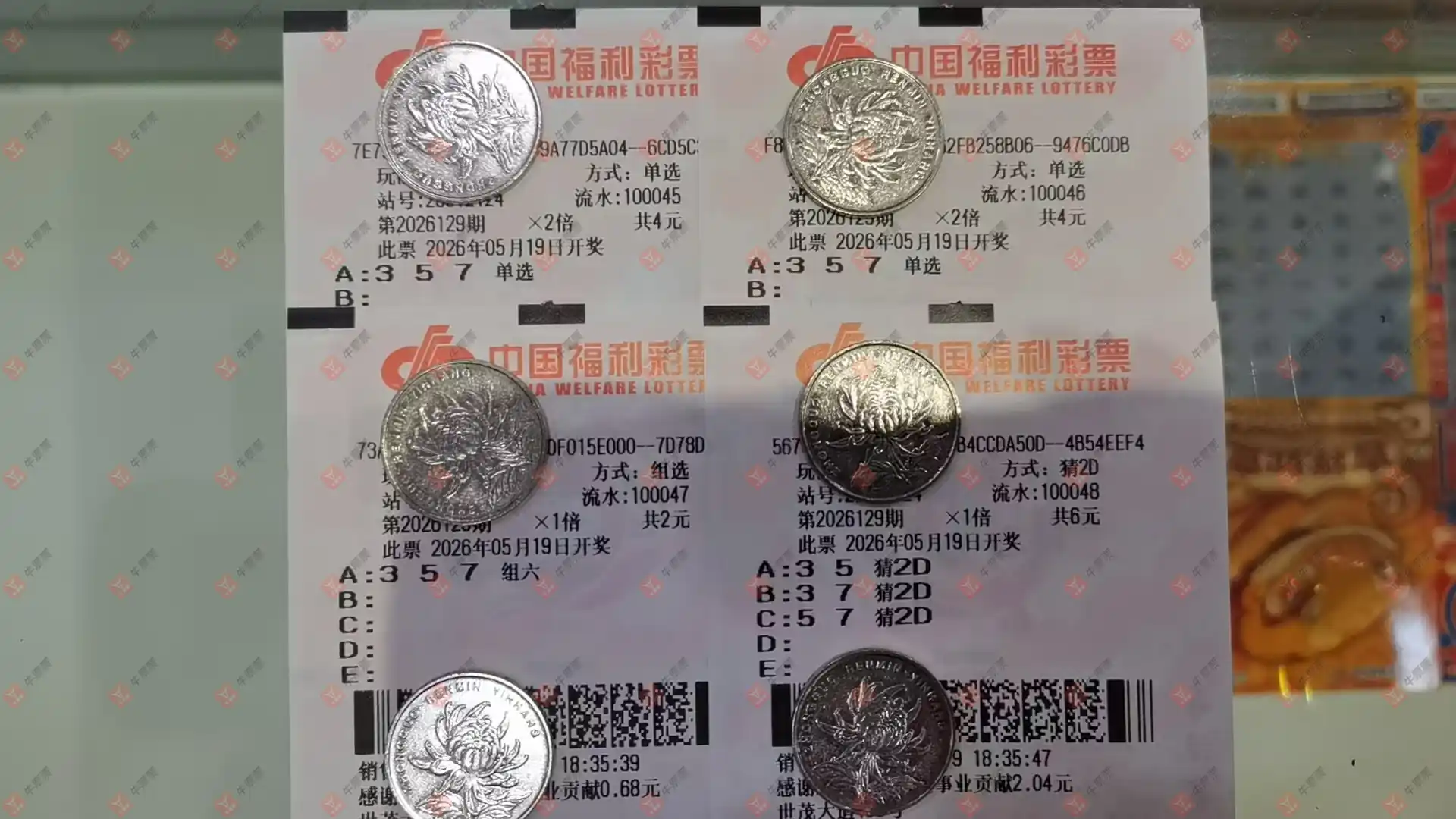 牛票票